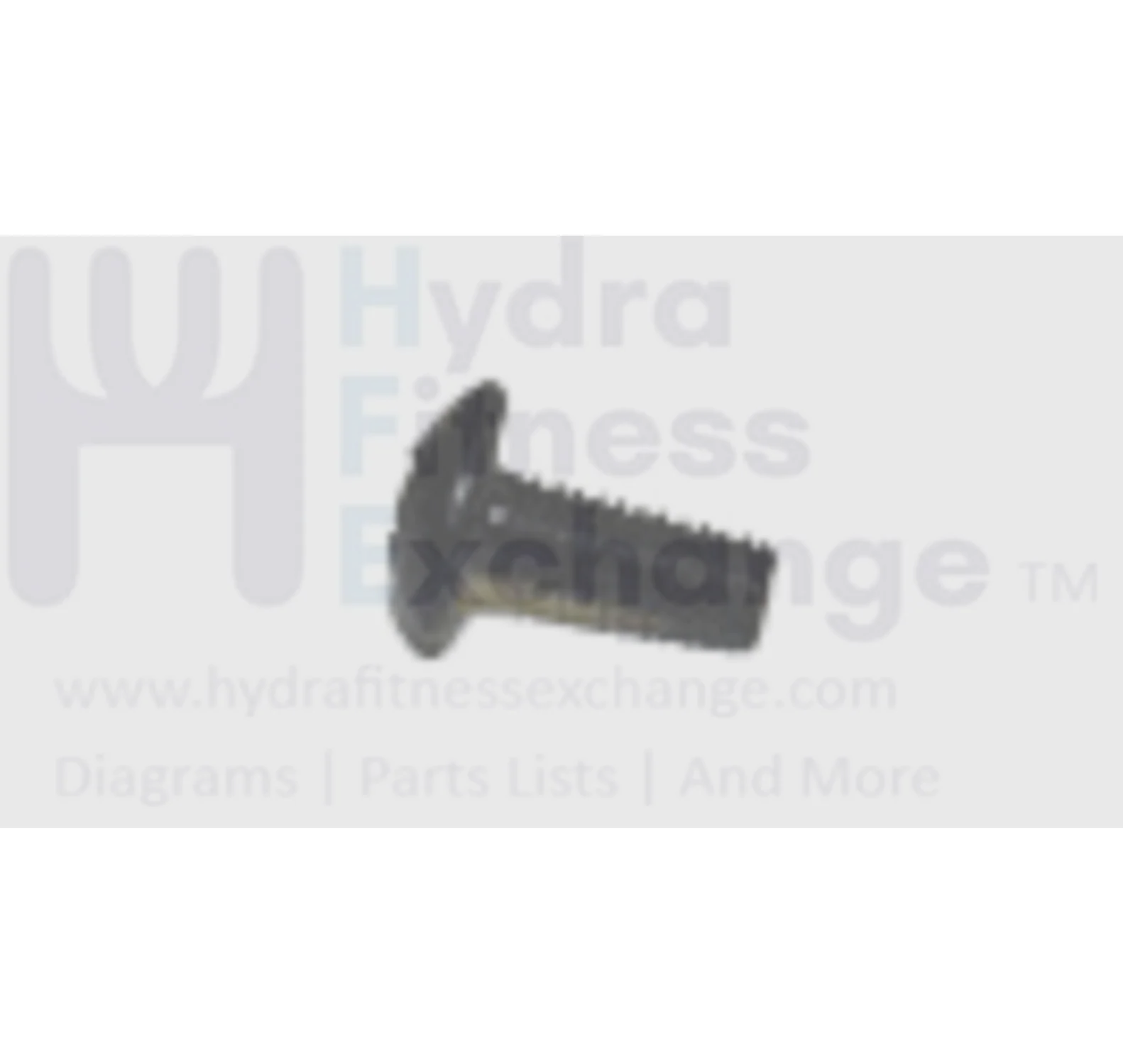Horizon Fitness E1201 E901 J5600 J5800 Elliptical Button Head Phillip Screw M4x0.7Px10L 020039-A