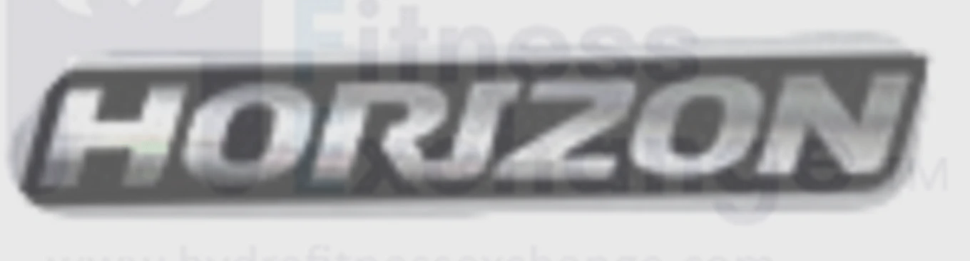 Horizon Fitness E1201 T1201 T901 Elliptical Logo Console Decal 097875