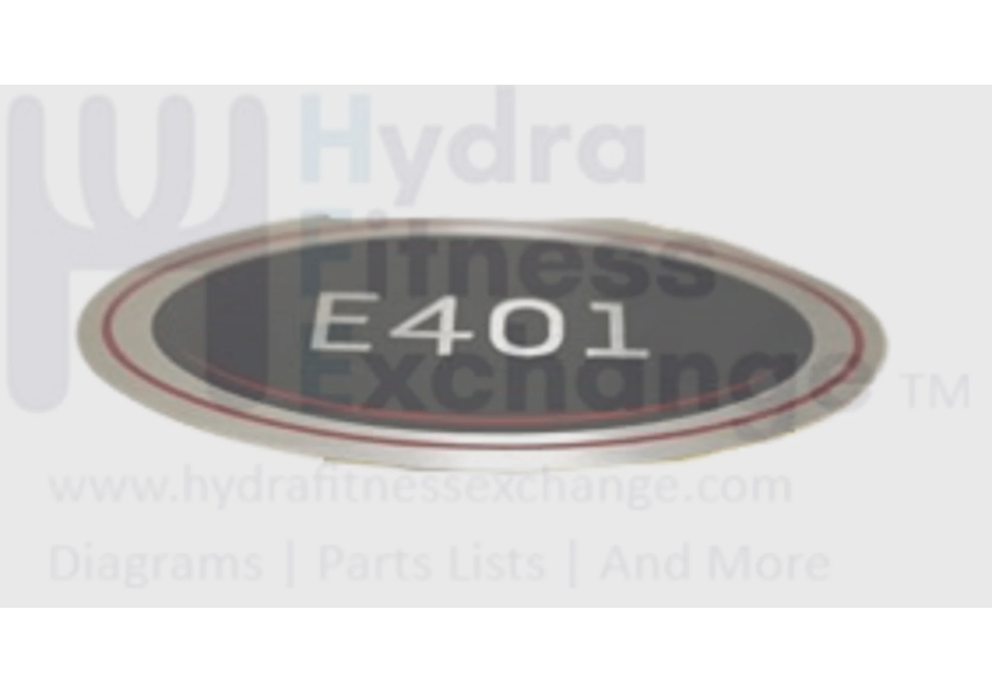 Horizon Fitness E401 - EP503 Ellipitcal No ROHS Model Decal 097921