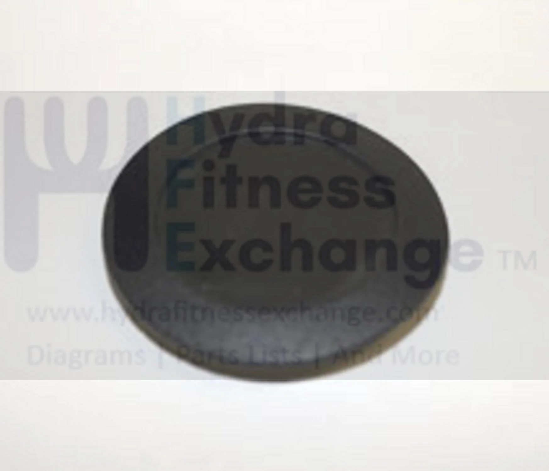 Horizon Vision Fitness E701 SXE 7.7 02 - S7100-02 S7100 X1500 X20 X20-02 S7100HRT S7100HRT-03 S7100HRT-04 Elliptical Round Internal End Cap 072515 - Image 2
