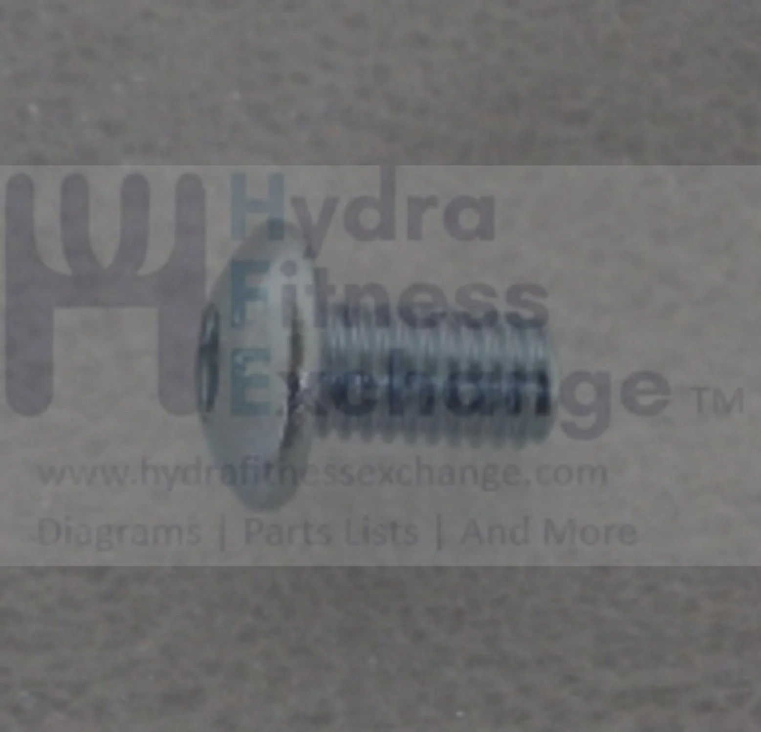 Horizon Fitness Elite R7 RB018 Stationary Bike Bolt 1000352927