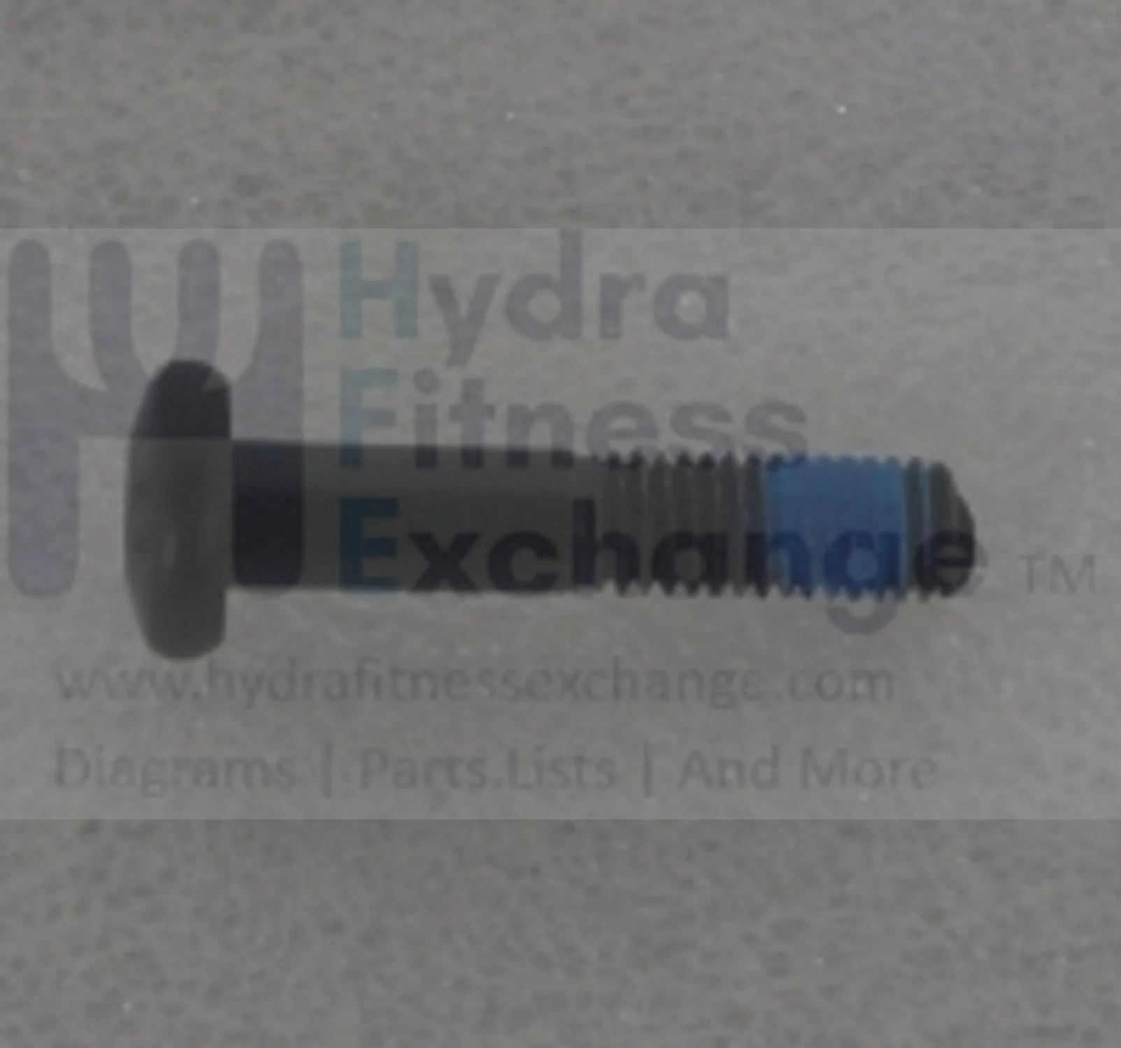 Horizon Fitness Elite R7 - RB018 Stationary Bike Button Head Bolt 1000352820