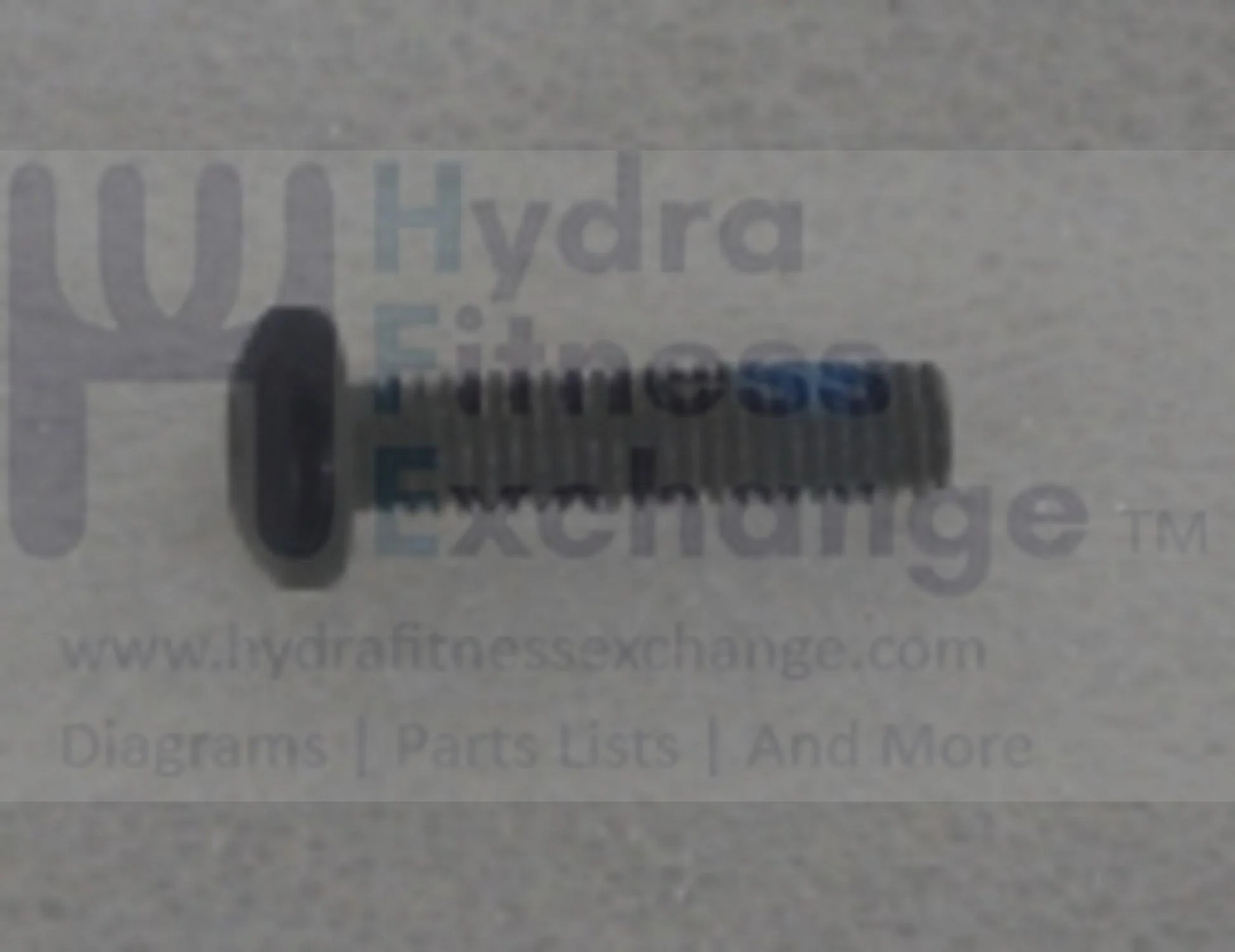 Horizon Fitness Elite R7 - RB018 Stationary Bike Button Head Bolt 1000352826