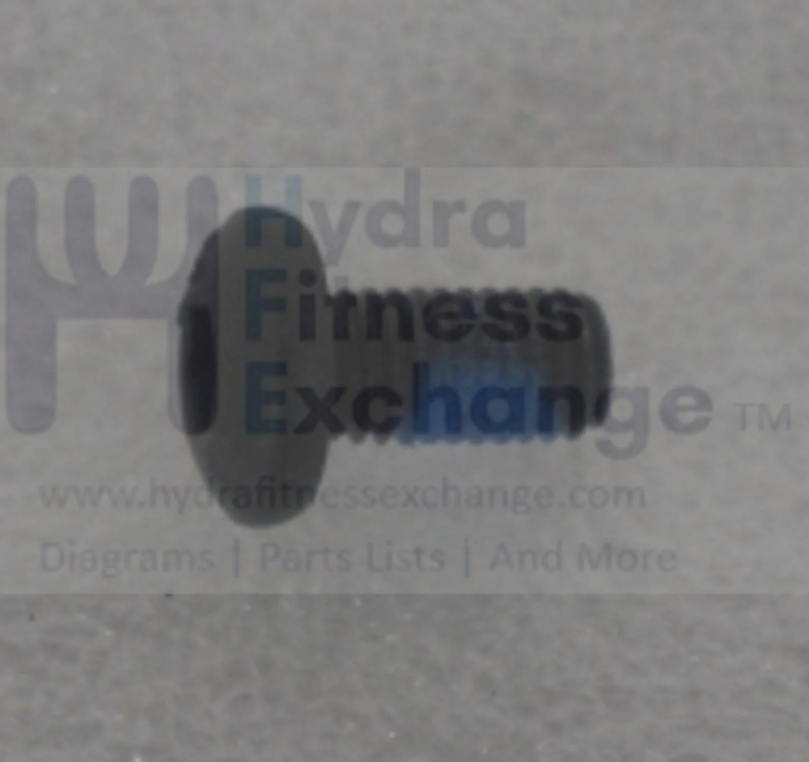 Horizon Fitness Elite R7 - RB018 Stationary Bike Button Head Bolt 1000352831
