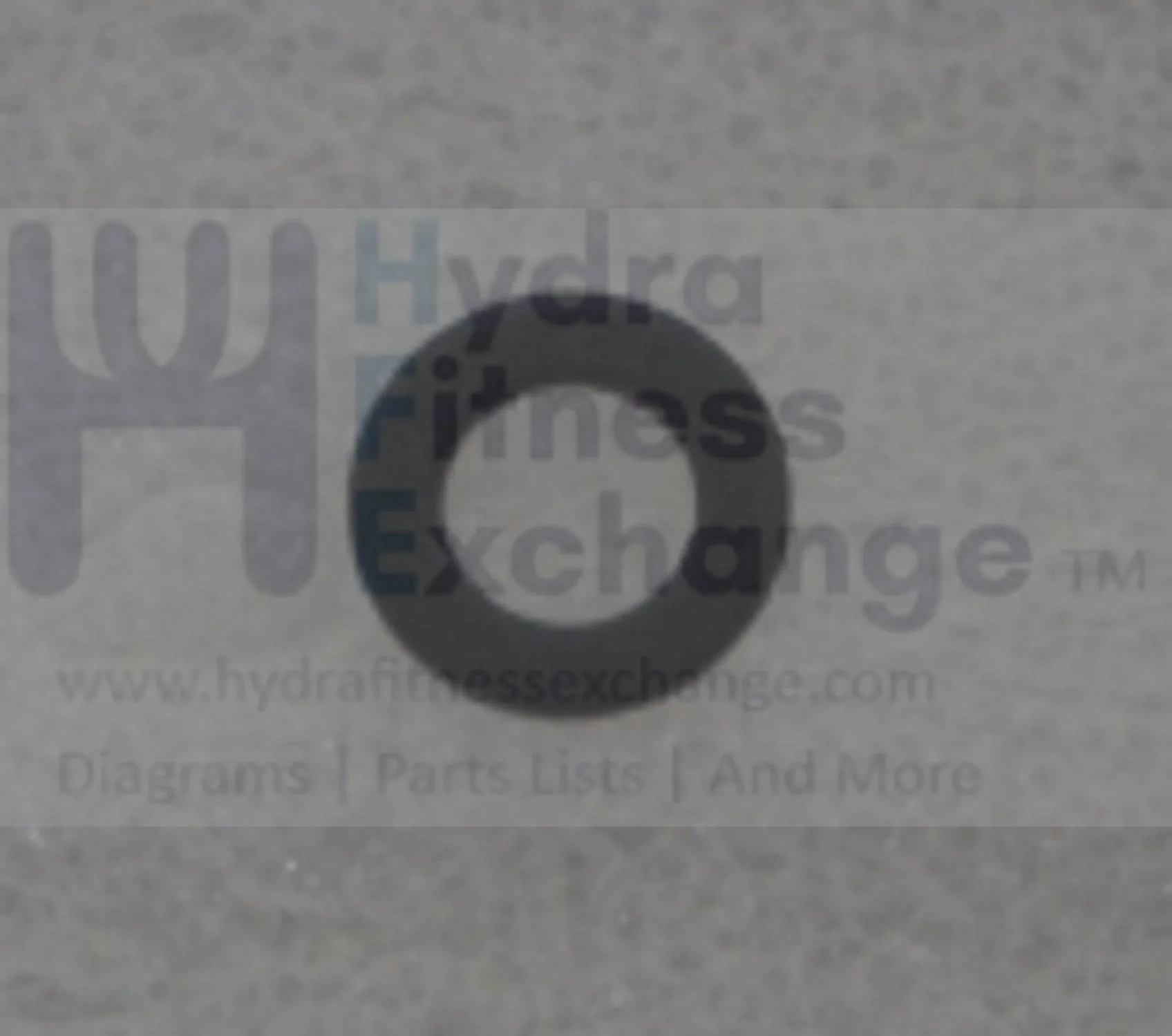 Horizon Fitness Elite R7 RB018 Stationary Bike Flat washer 1000352821