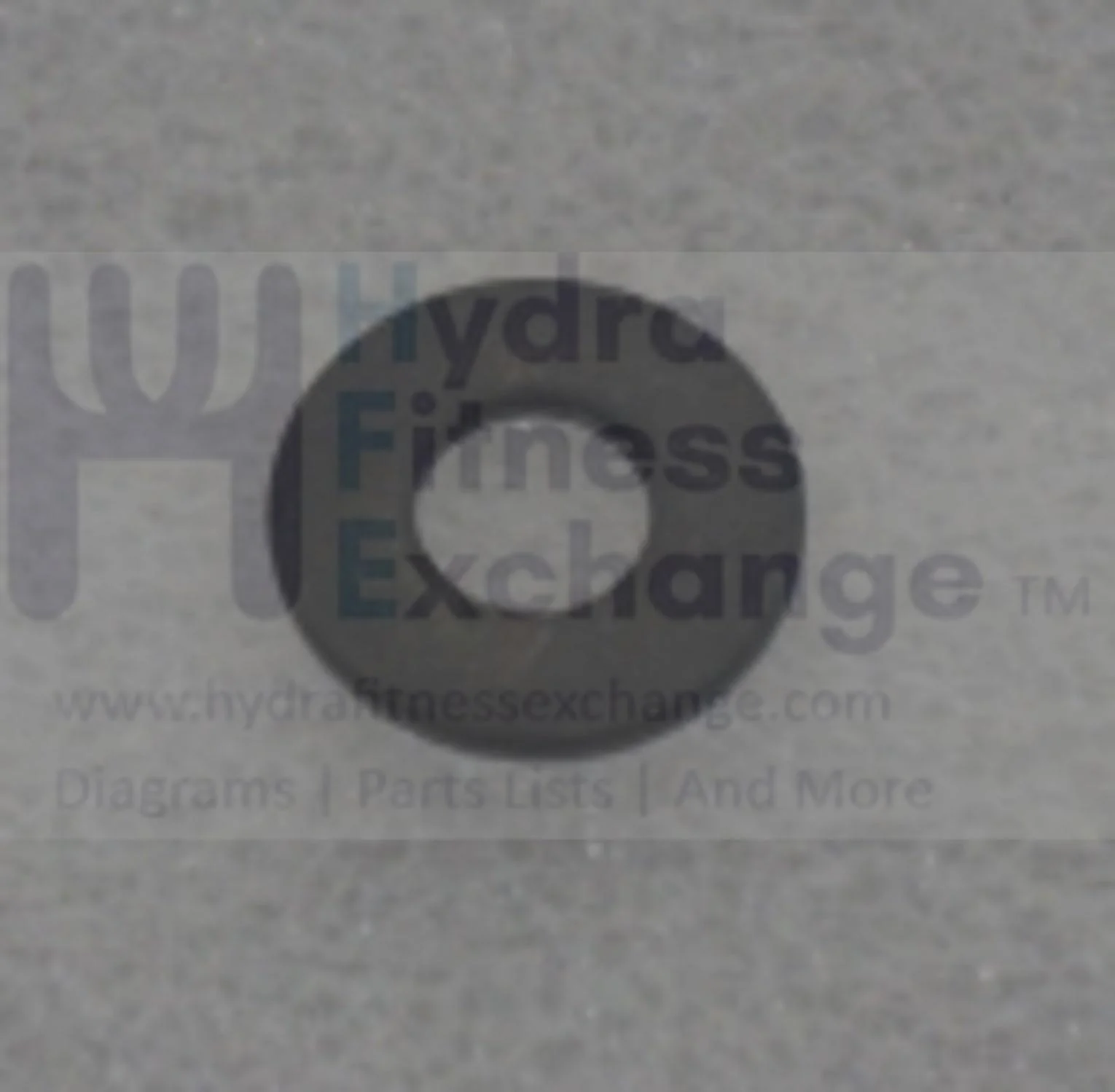 Horizon Fitness Elite R7 - RB018 Stationary Bike Flat Washer 1000352830