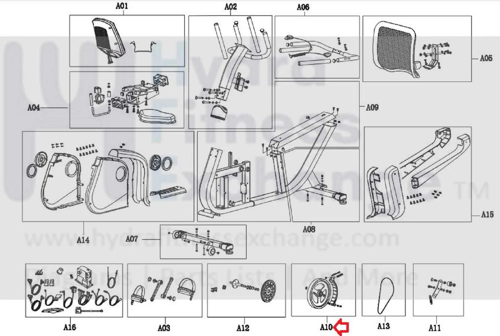 Horizon Fitness Elite R7 - RB018 Stationary Bike Flywheel Set 1000353778