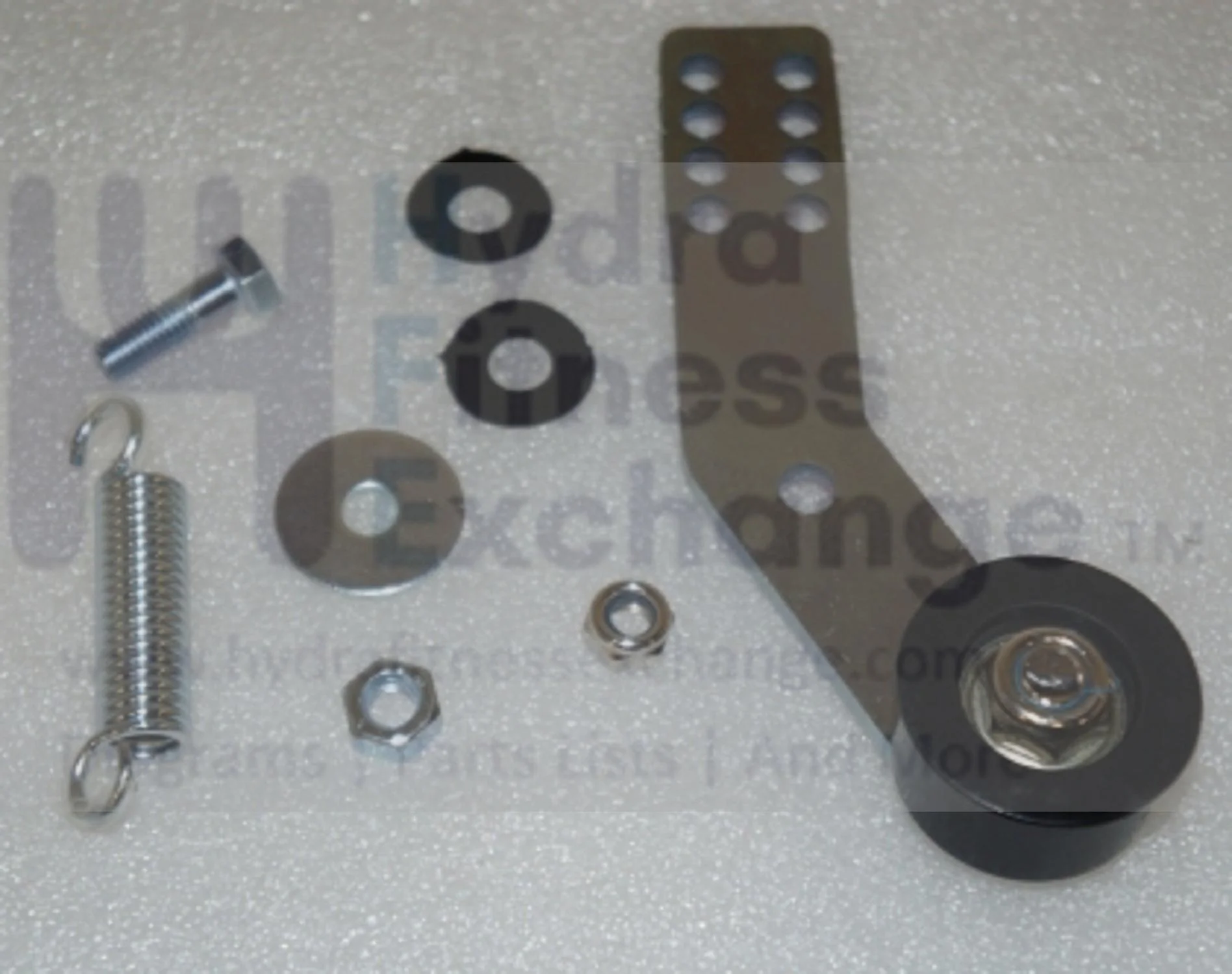 Horizon Fitness Elite R7 - RB018 Stationary Bike Idler Set 1000353779