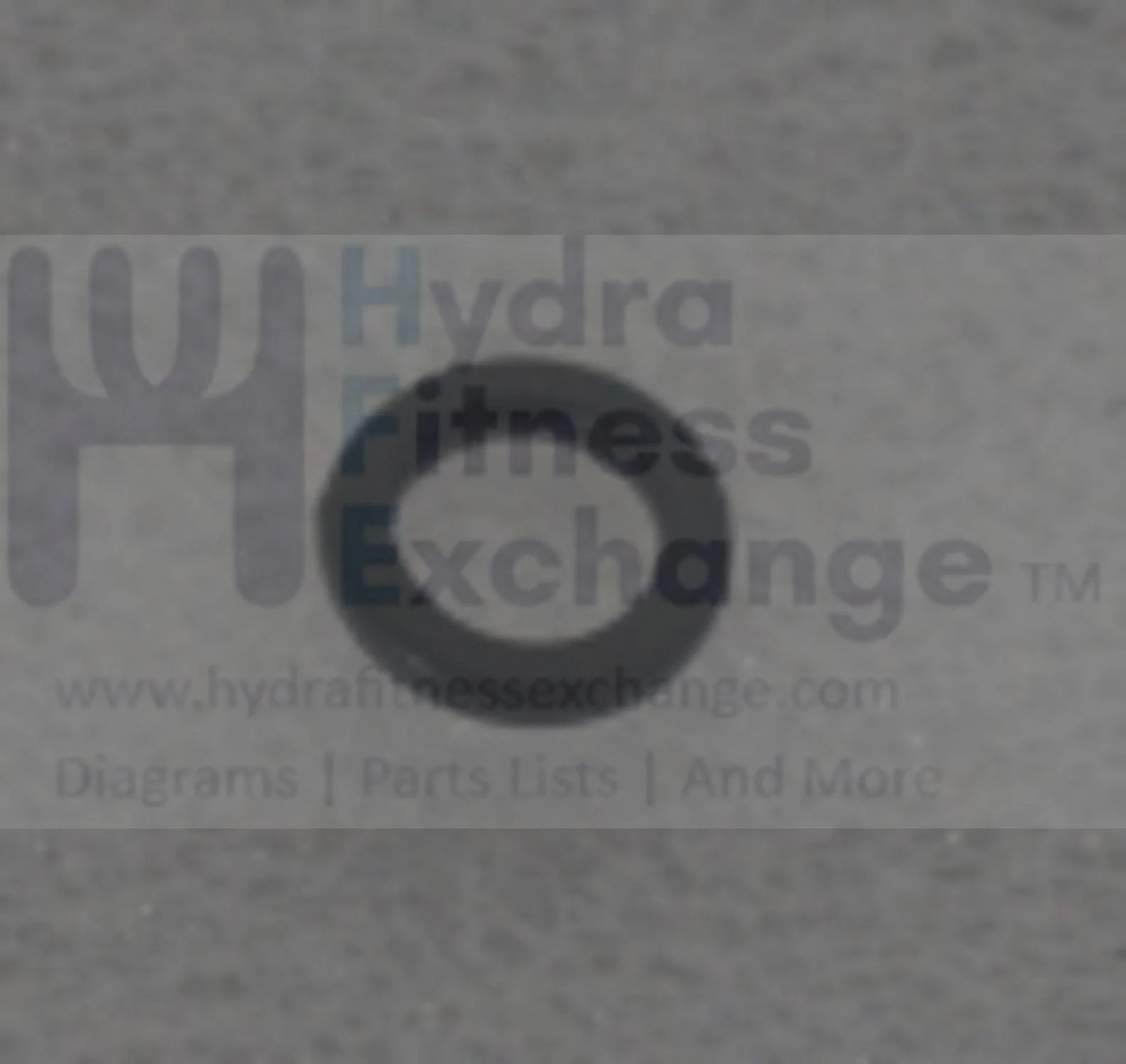 Horizon Fitness Elite R7 - RB018 Stationary Bike Spring Washer 1000352824