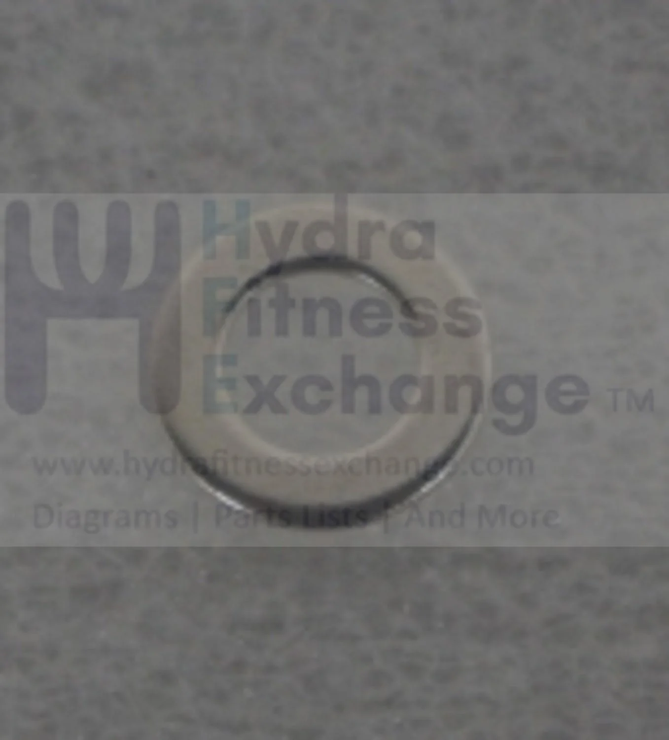 Horizon Fitness Elite R7 U7 RB018 UB Stationary Bike Flat Washer 1000352816 - Image 2
