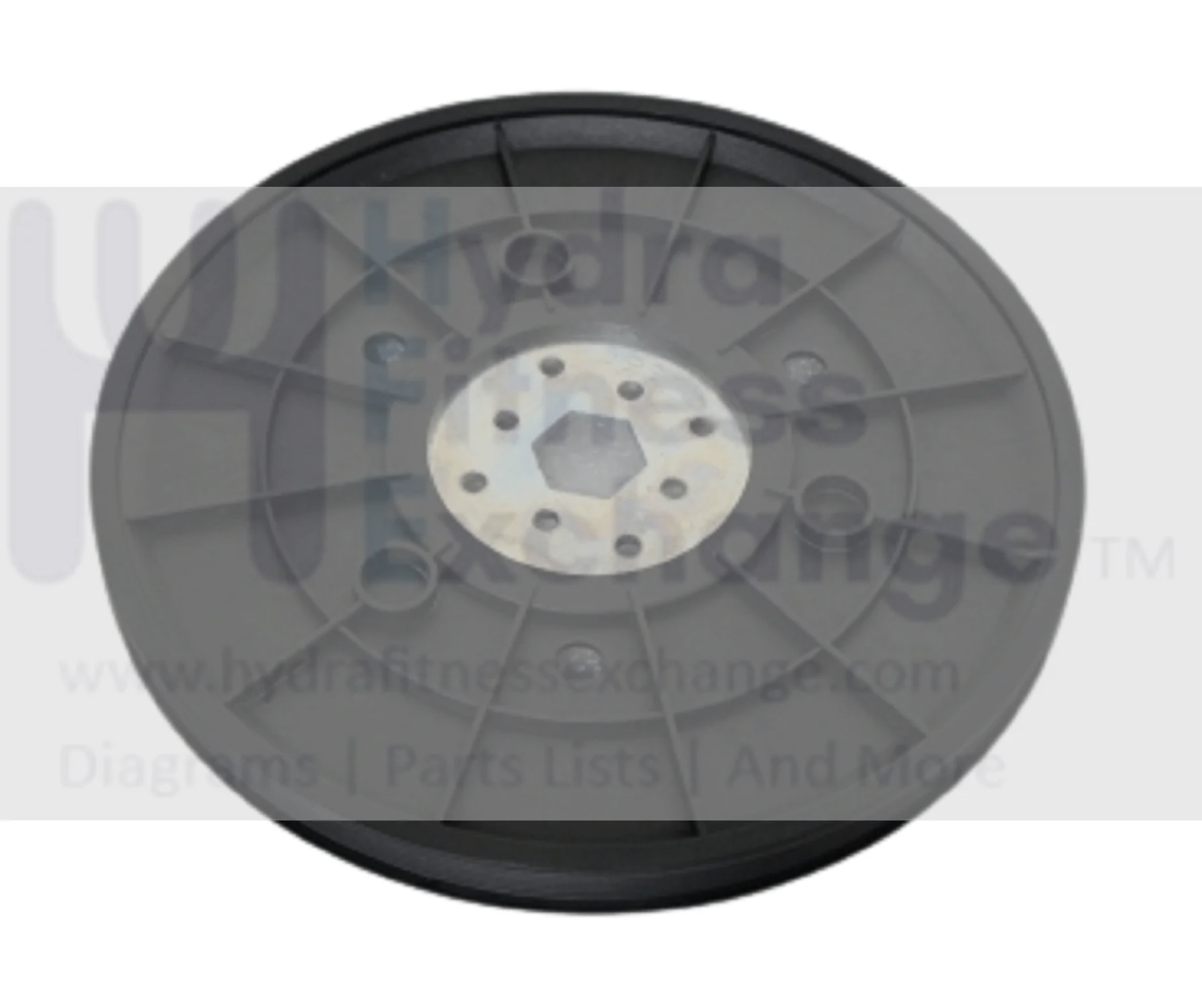 Horizon Fitness Elite R7 U7 RB018 UB Stationary Bike Flywheel Pulley 1000352932