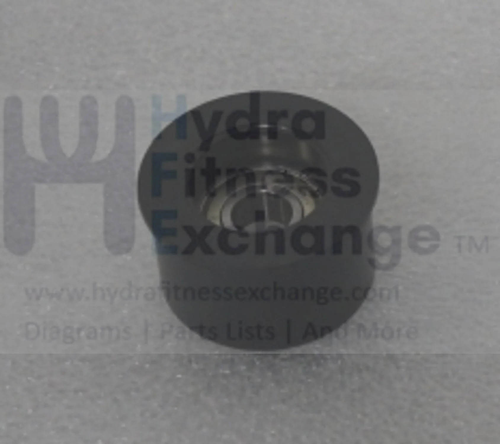 Horizon Fitness Elite R7 U7 RB018 UB Stationary Bike Idler Wheel 1000352929 - Image 2