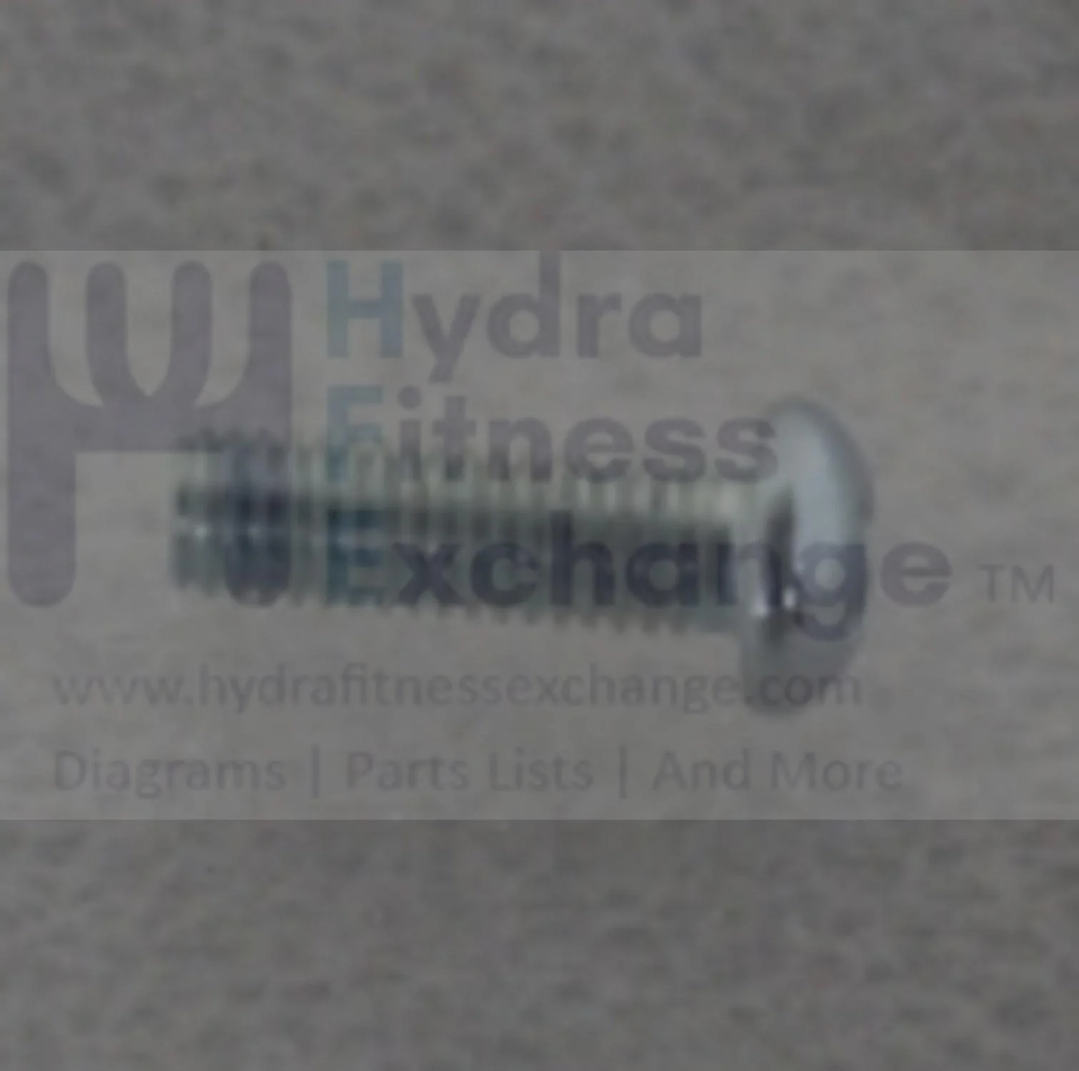 Horizon Fitness Elite R7 U7 RB018 UB Stationary Bike Button Head Screw 1000352819 - Image 2