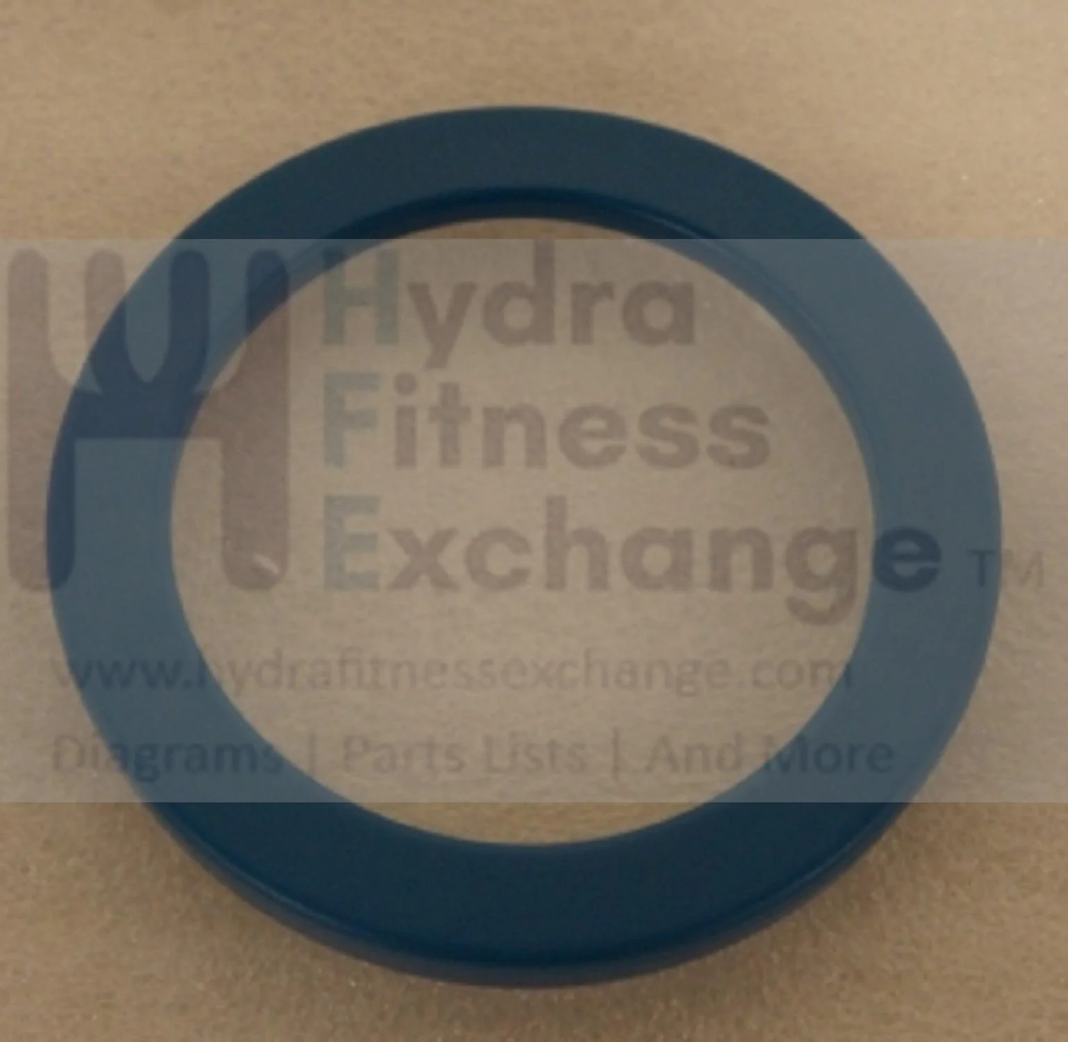 Horizon Elite R7 U7 RB018 UB Stationary Bike Left Chain Cover O-Ring Rubber Blue 1000352935 - Image 2