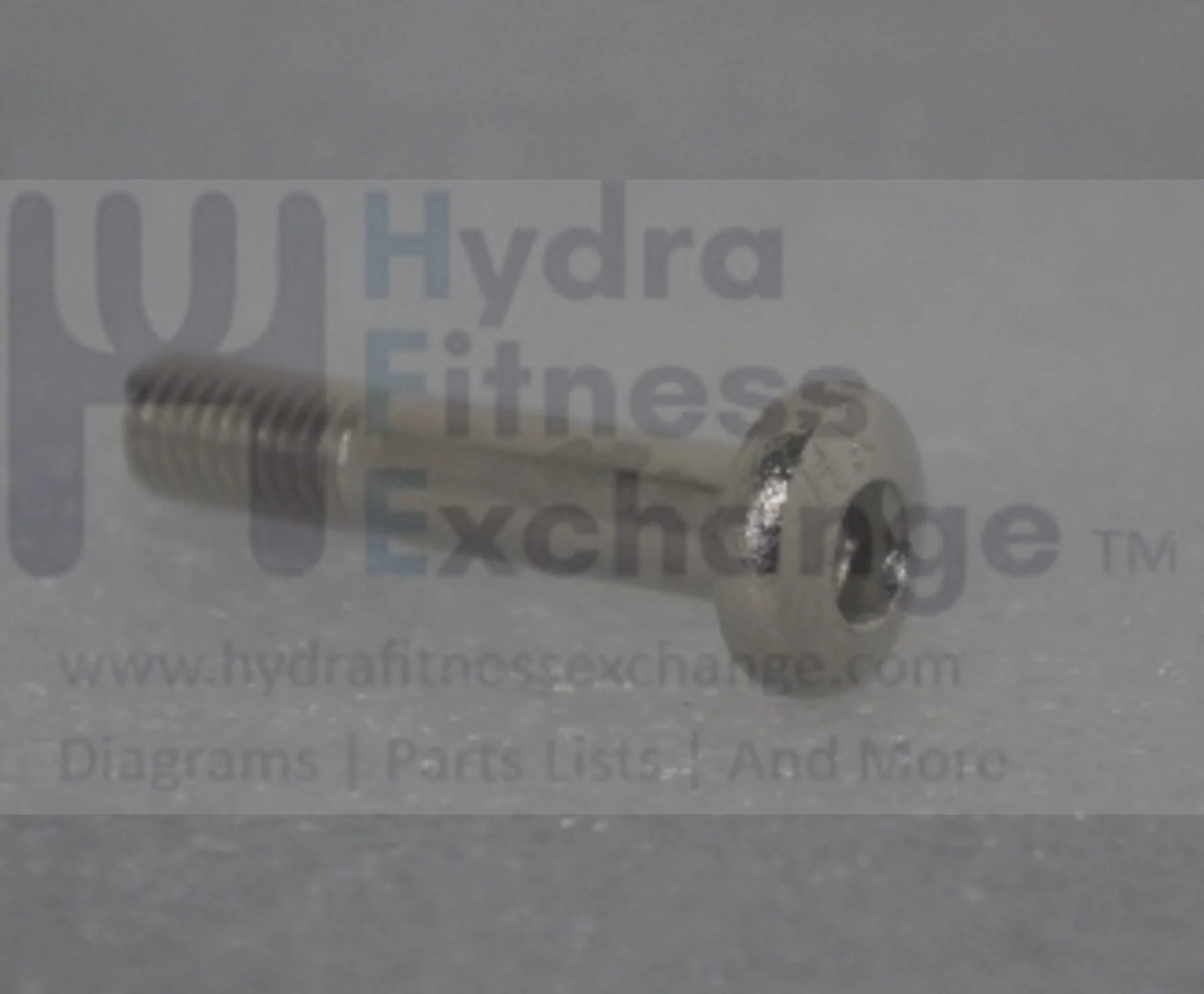 Horizon Fitness Elite R7 U7 UB RB018 Stationary Bike Bolt 1000352910 - Image 2