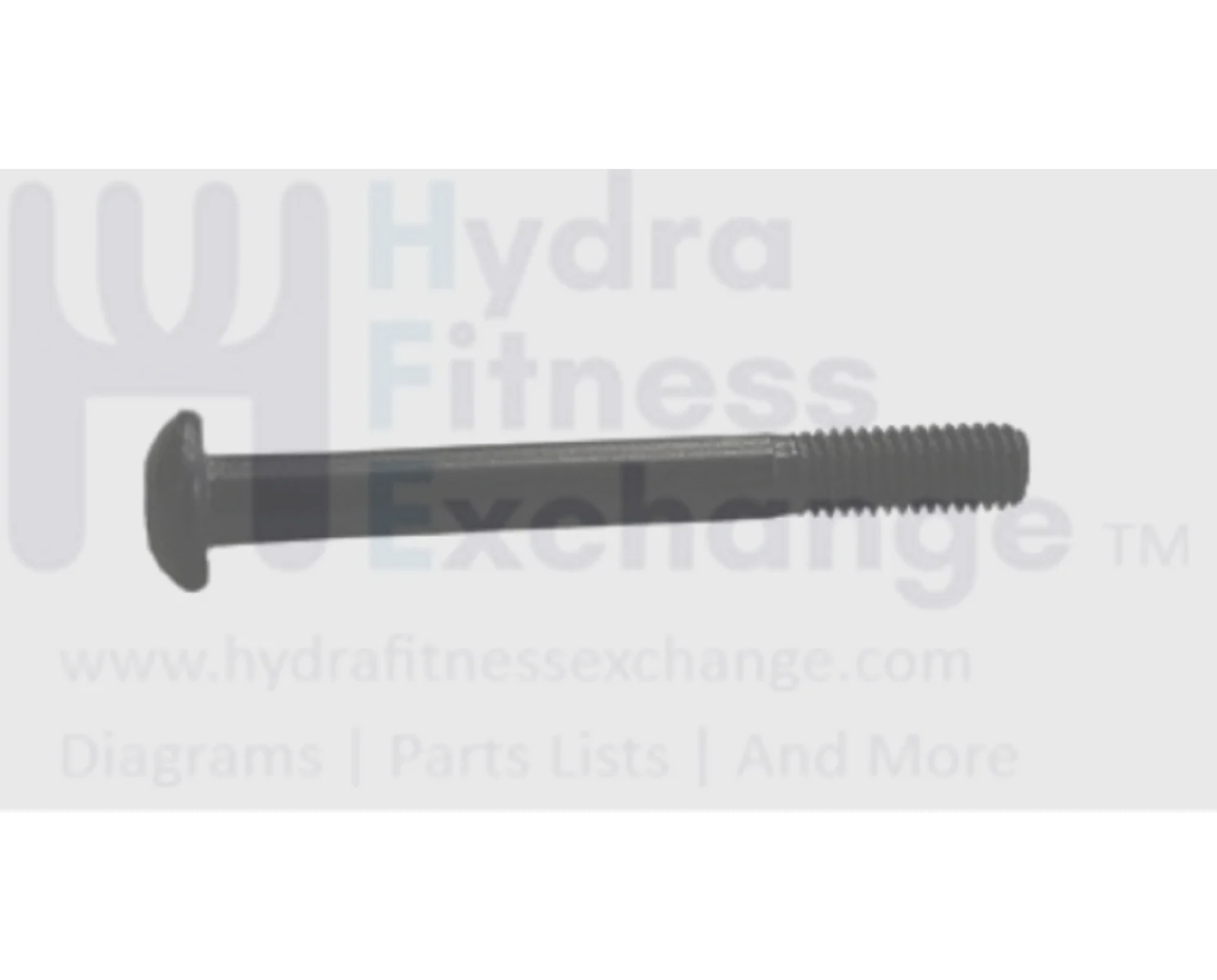 Horizon Fitness Elite T5 T7-02 T9 Treadmill Button Head Screw M8X1.25PX70L-20L 020283-AB
