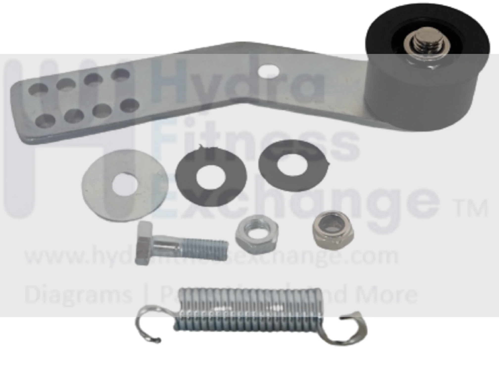 Horizon Fitness Elite U7 - UB Stationary Bike Idler Pulley Set Assembly 1000353797