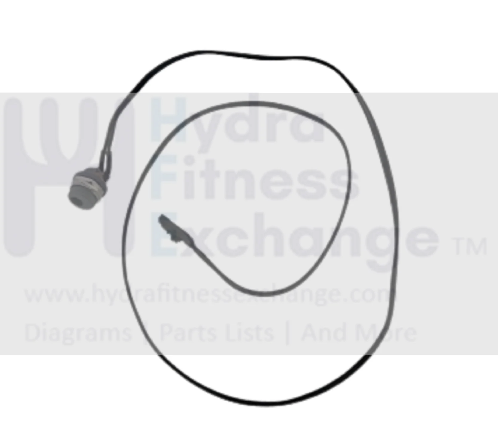 Horizon Fitness Elite U7 - UB Stationary Bike Power Entry Jack Wire Harness 1000353016
