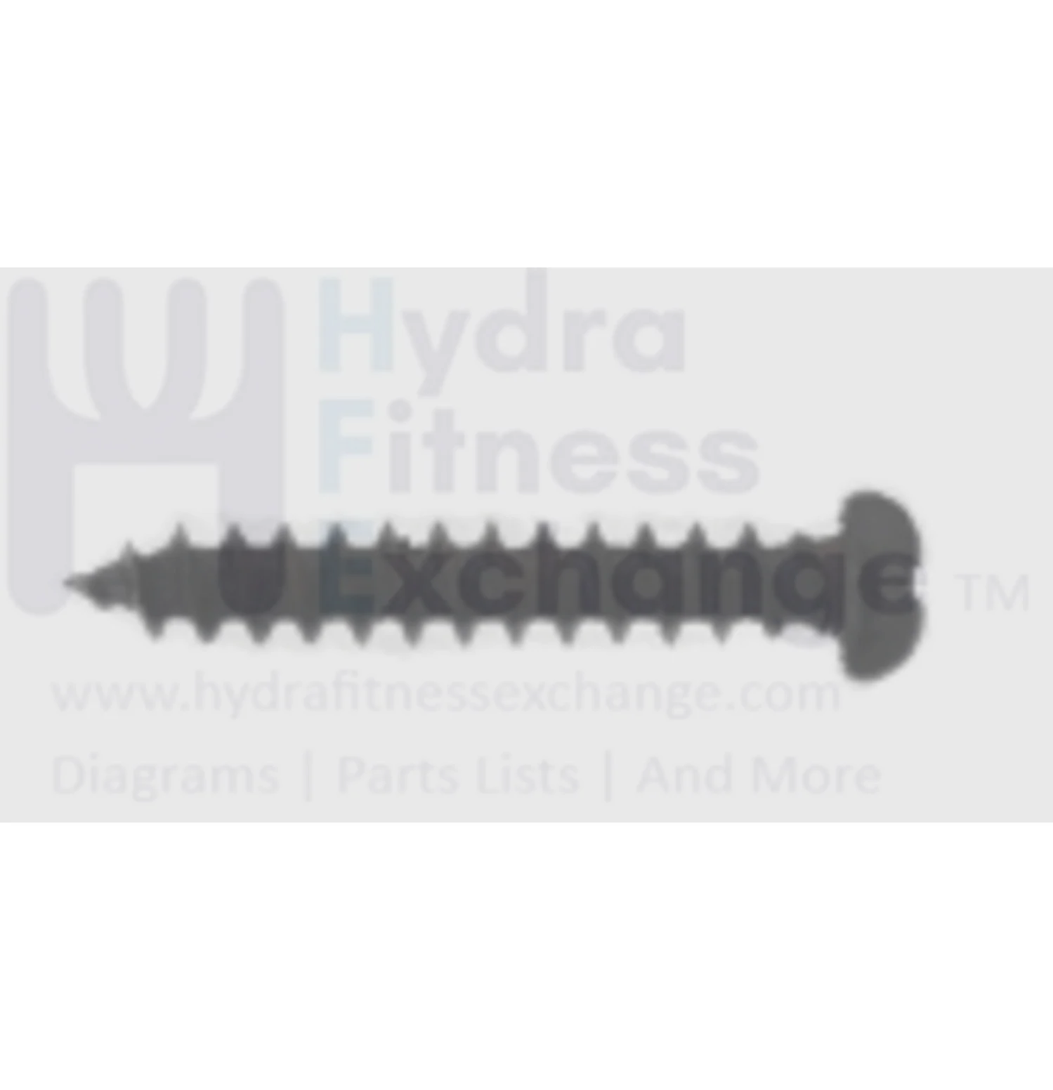 Horizon Fitness Elite U7 - UB Stationary Bike Self Tapping Screw 1000352978