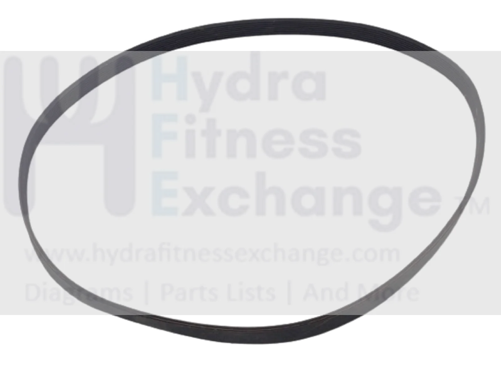 Horizon Fitness Elliptical Pulley Drive Belt 38" 8Ribs 004177-A - Image 2
