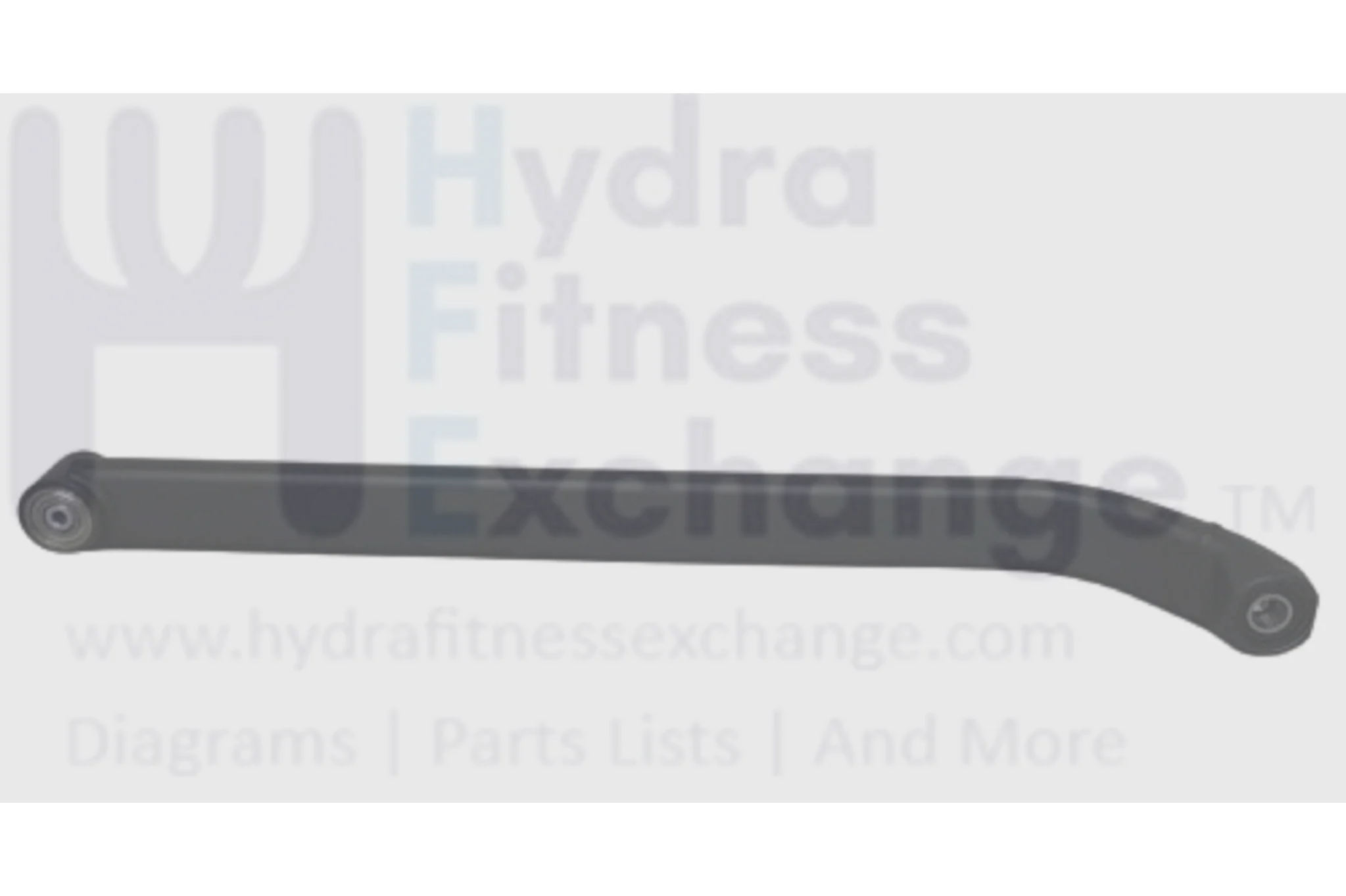 Horizon Fitness Endurance 300 - EP29 Elliptical Swing Arm Set Semi Assembly 1000380637