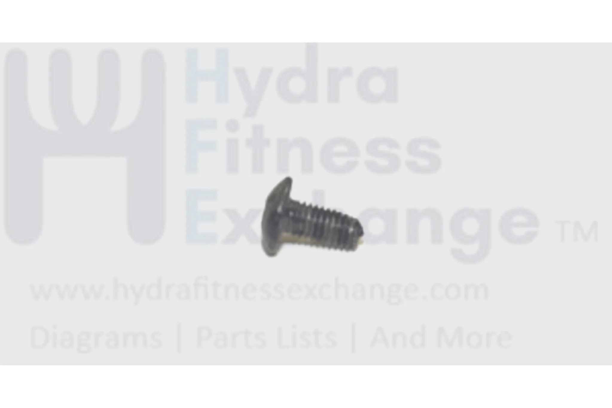 Merit Matrix Vision Horizon Fitness Livestrong AFG Fitness Gear Elliptical Button Head Phillip Screw 004374-00