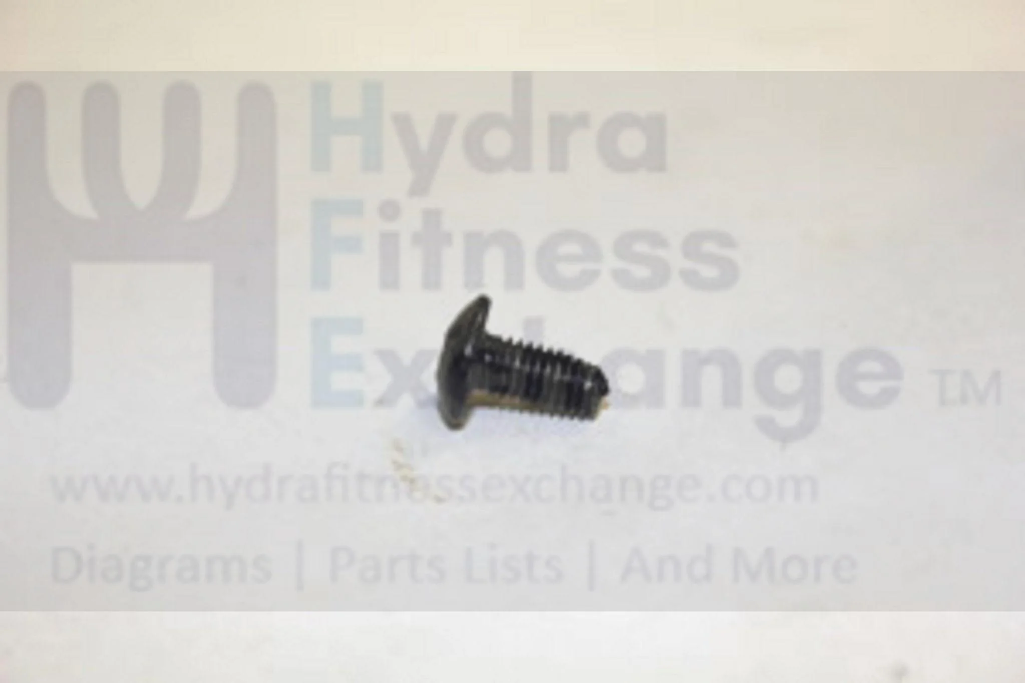 Merit Matrix Vision Horizon Fitness Livestrong AFG Fitness Gear Elliptical Button Head Phillip Screw 004374-00 - Image 2