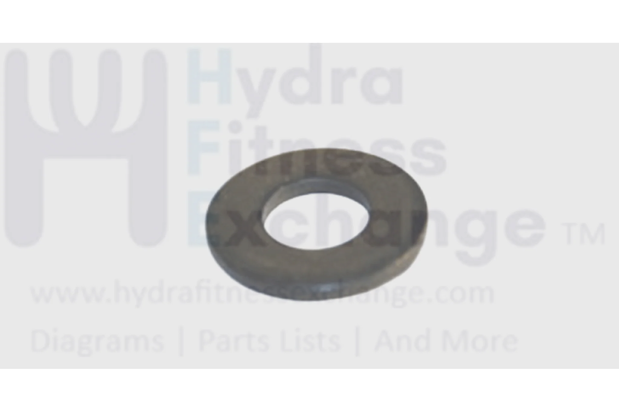 Horizon Fitness Endurance 300 EX59-04 Elliptical Flat Washer 005060-00