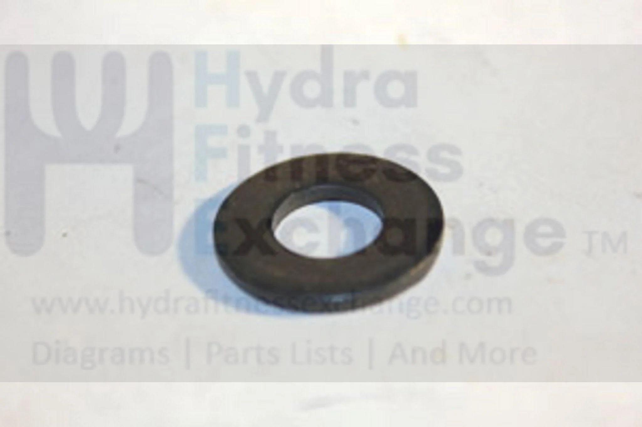 Horizon Fitness Endurance 300 EX59-04 Elliptical Flat Washer 005060-00 - Image 2