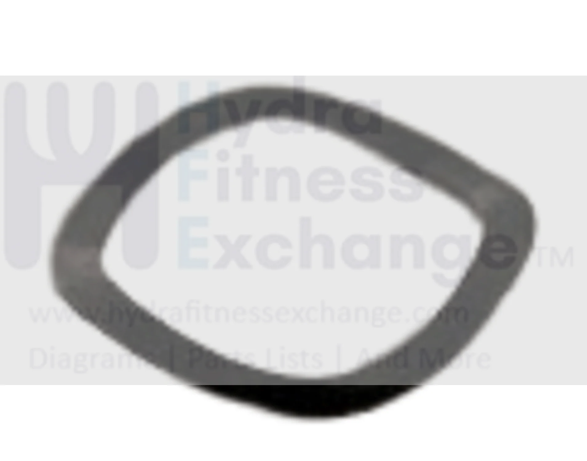 Horizon Fitness Endurance 300 EX59-04 Elliptical Wave Washer 17.2x22.5x0.5T 1000114156