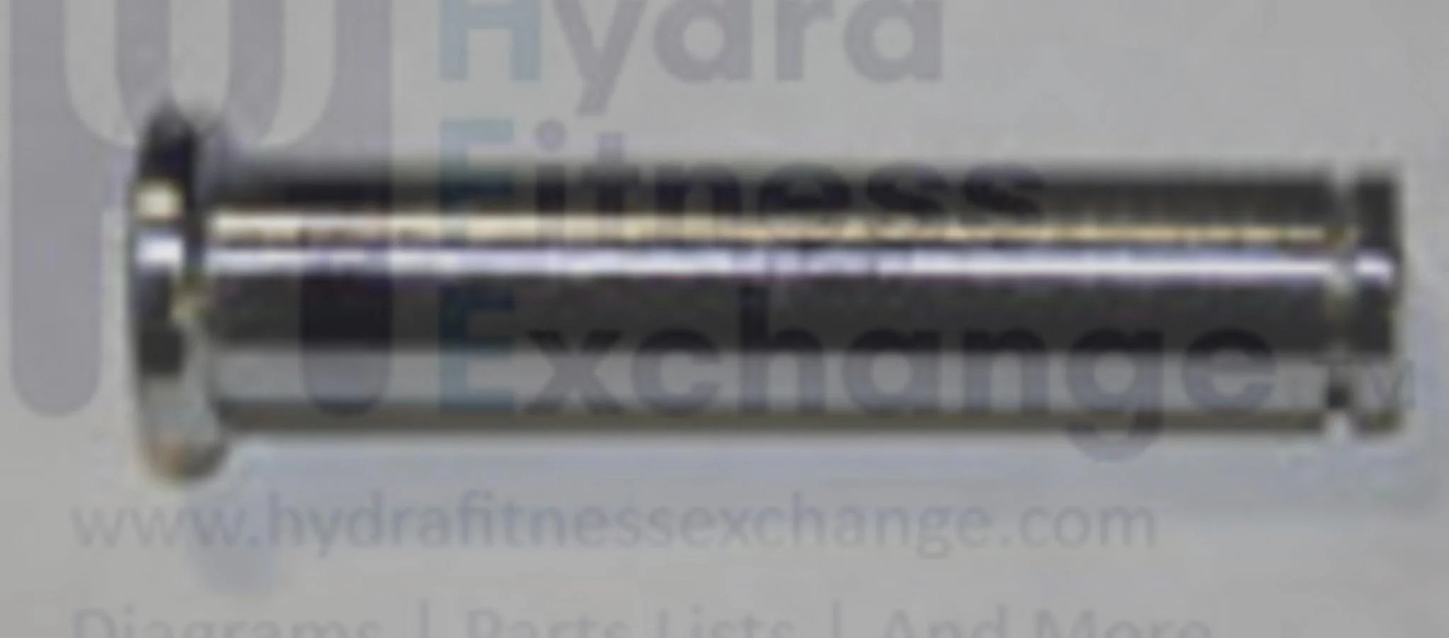 Horizon Fitness Endurance 300 T202-06 EX59-04 7.0AT-04 T101-07 Elliptical Screw 3x8L 020205-AB