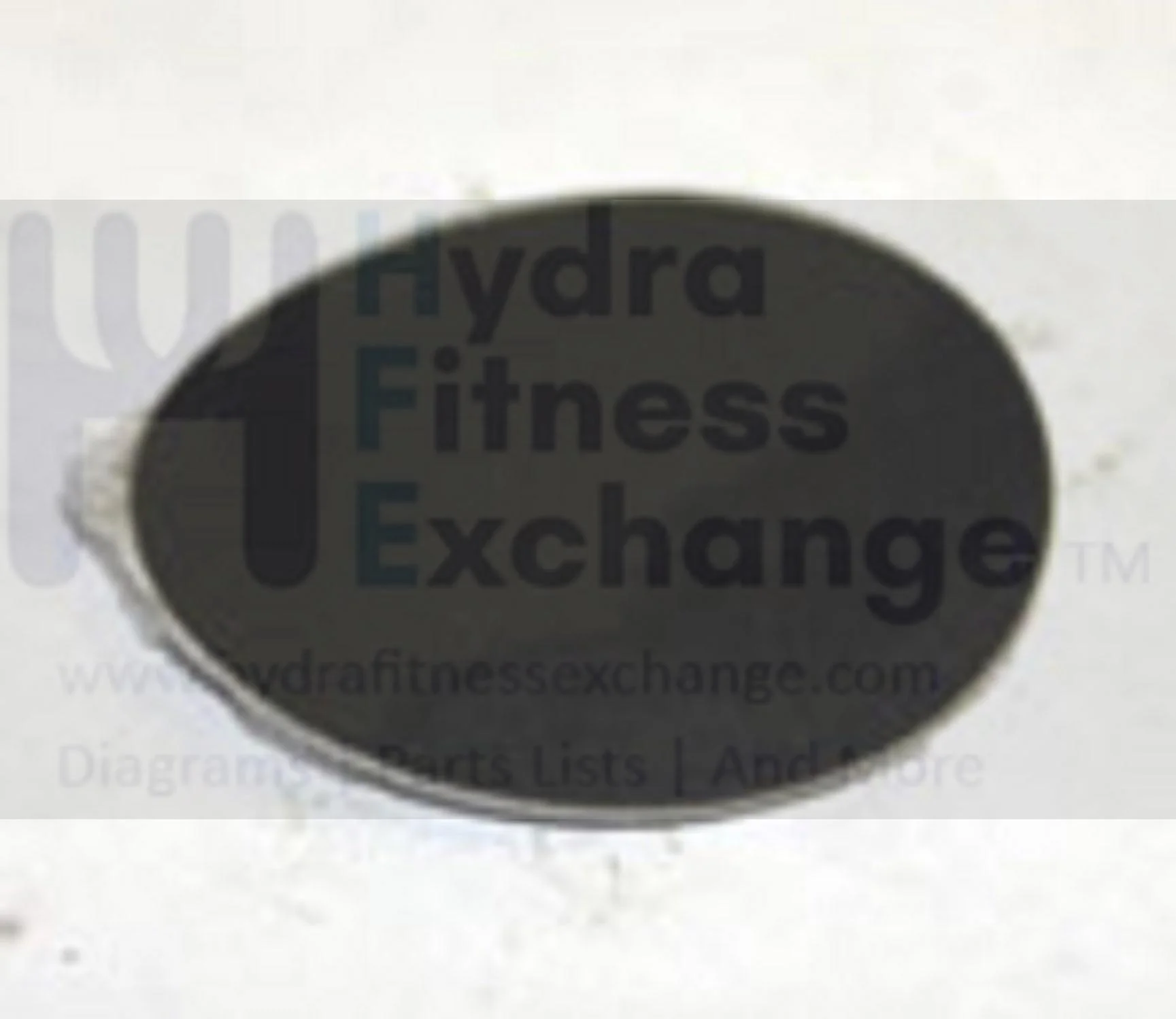 Horizon Fitness EP164 Elliptical Console Mast Decal Cover 059139-AX - Image 2