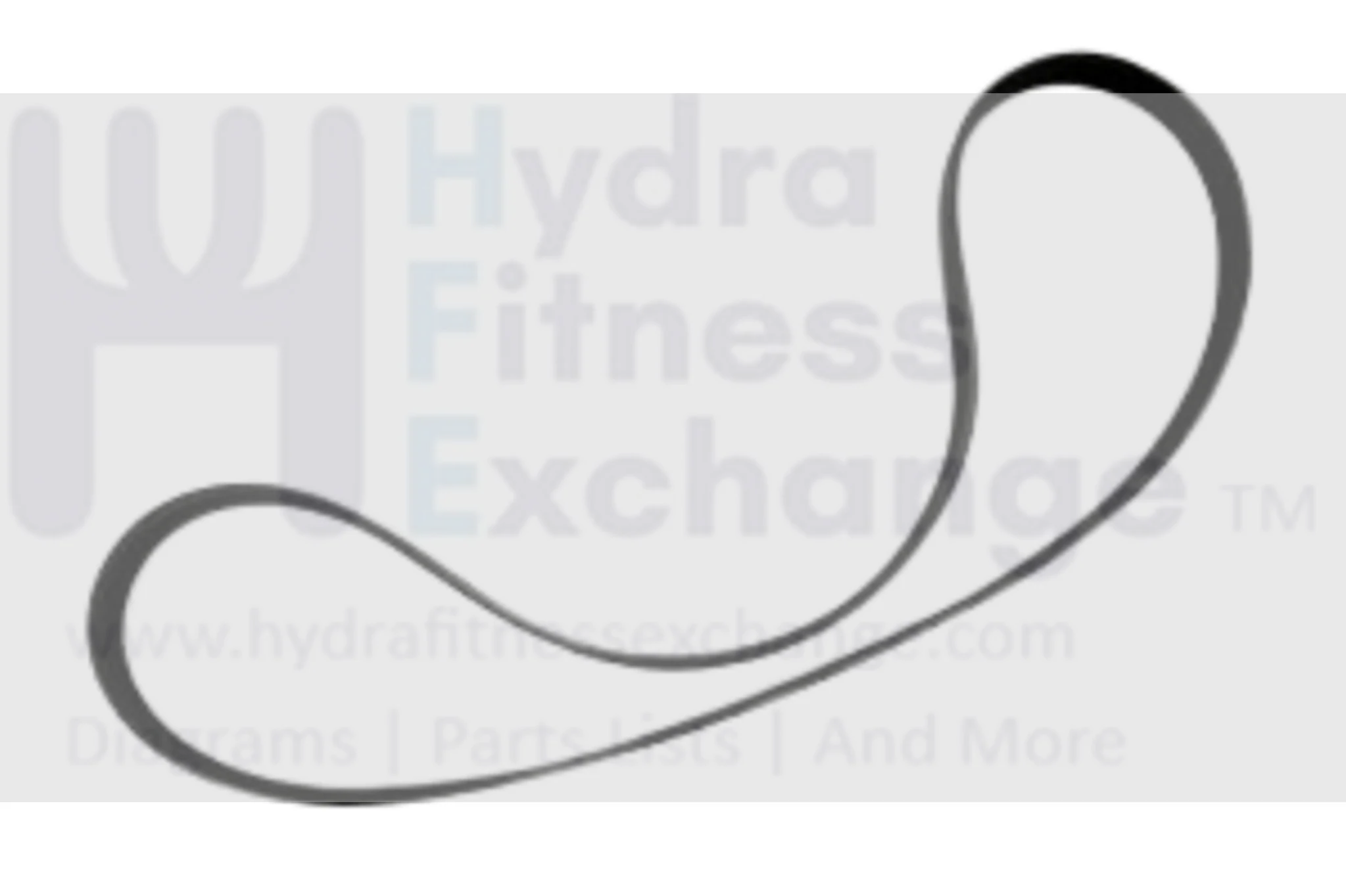 Horizon Fitness EP177 EP139 EP178 EP120 Elliptical Pulley Drive Belt 42" Ribs 8 004175-A - Image 2