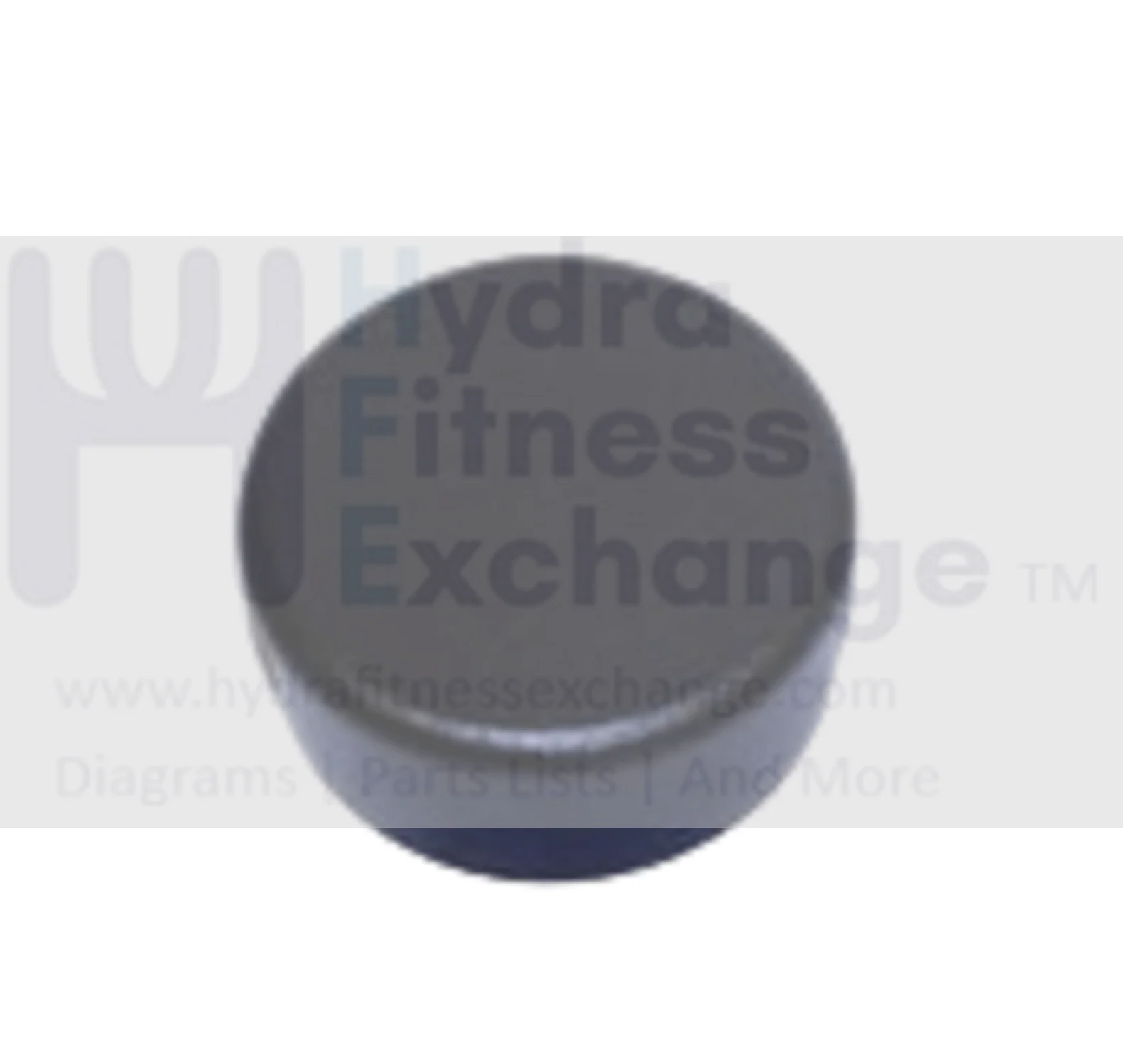 Horizon Fitness EP506B EP506C EP231 EP506 Elliptical Rear Stabilizer End Cap 60x1.6T 000929-00