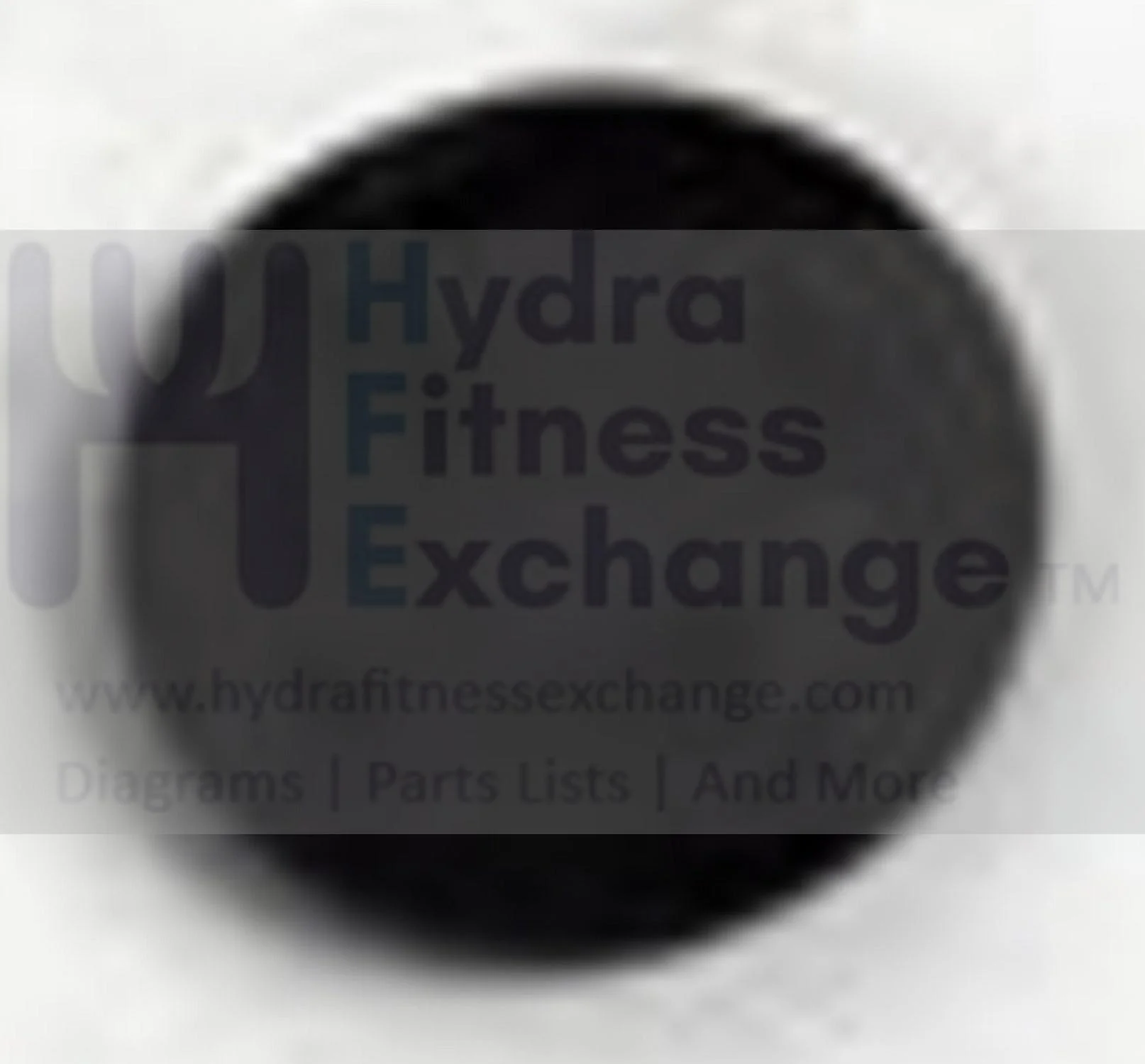 Horizon Fitness EP507 EP199 Elliptical End Cap 082331