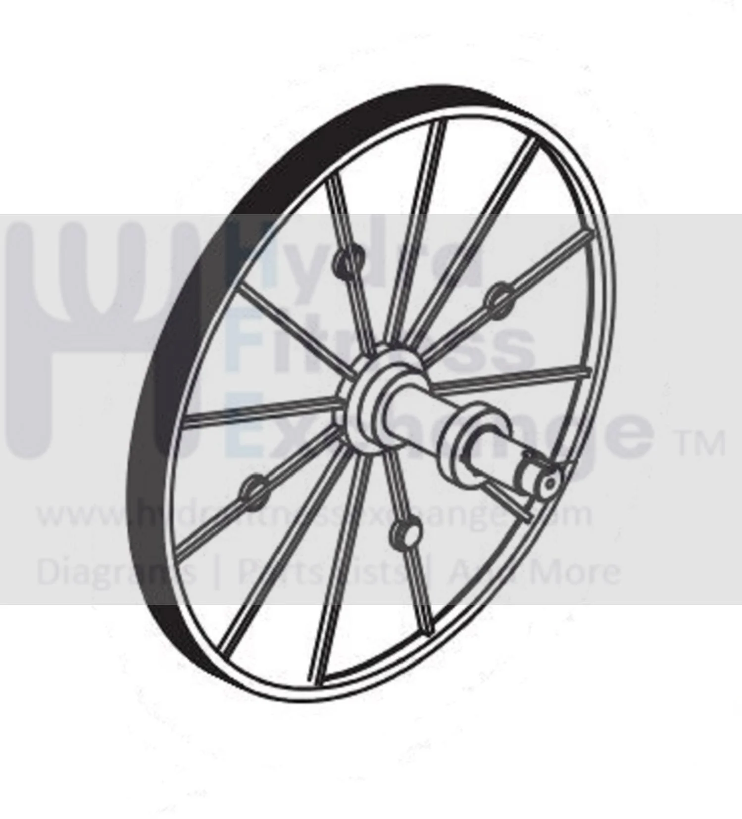 Horizon Fitness EP716 EP283 EP295 Elliptical Flywheel Pulley Assembly 1000423874