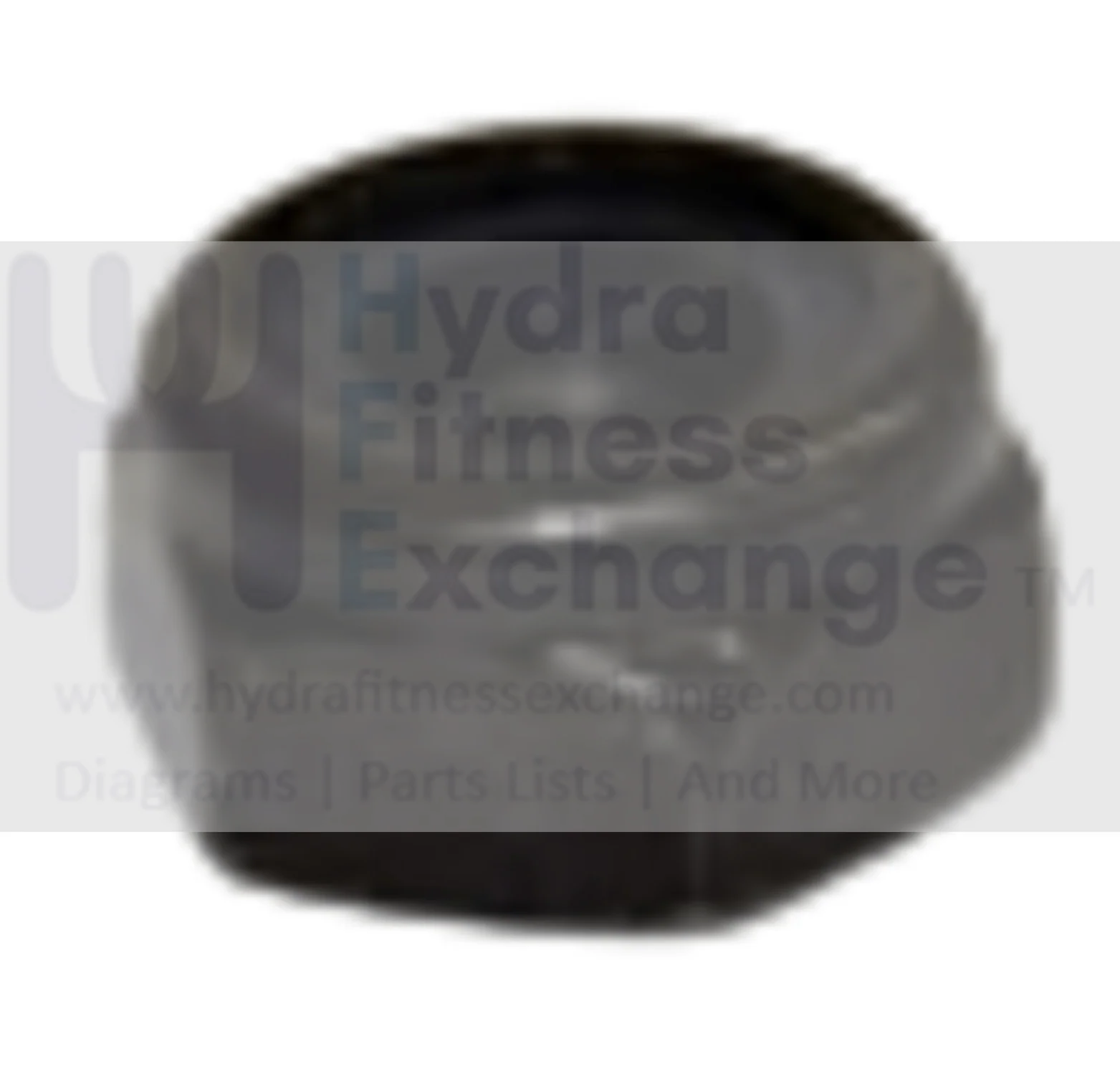 Horizon fitness EX59-04 Endurance 300 Elliptical Nylon Nut 004942-00