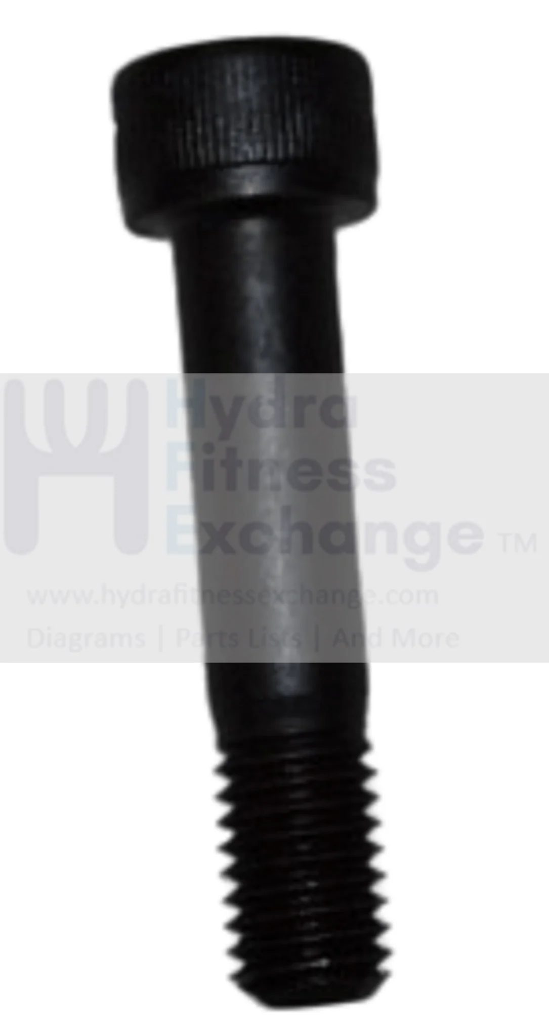 Horizon fitness EX59-04 Endurance 300 Elliptical Round Head Hex Socket Screw M10x1.5P/45L 1000226201