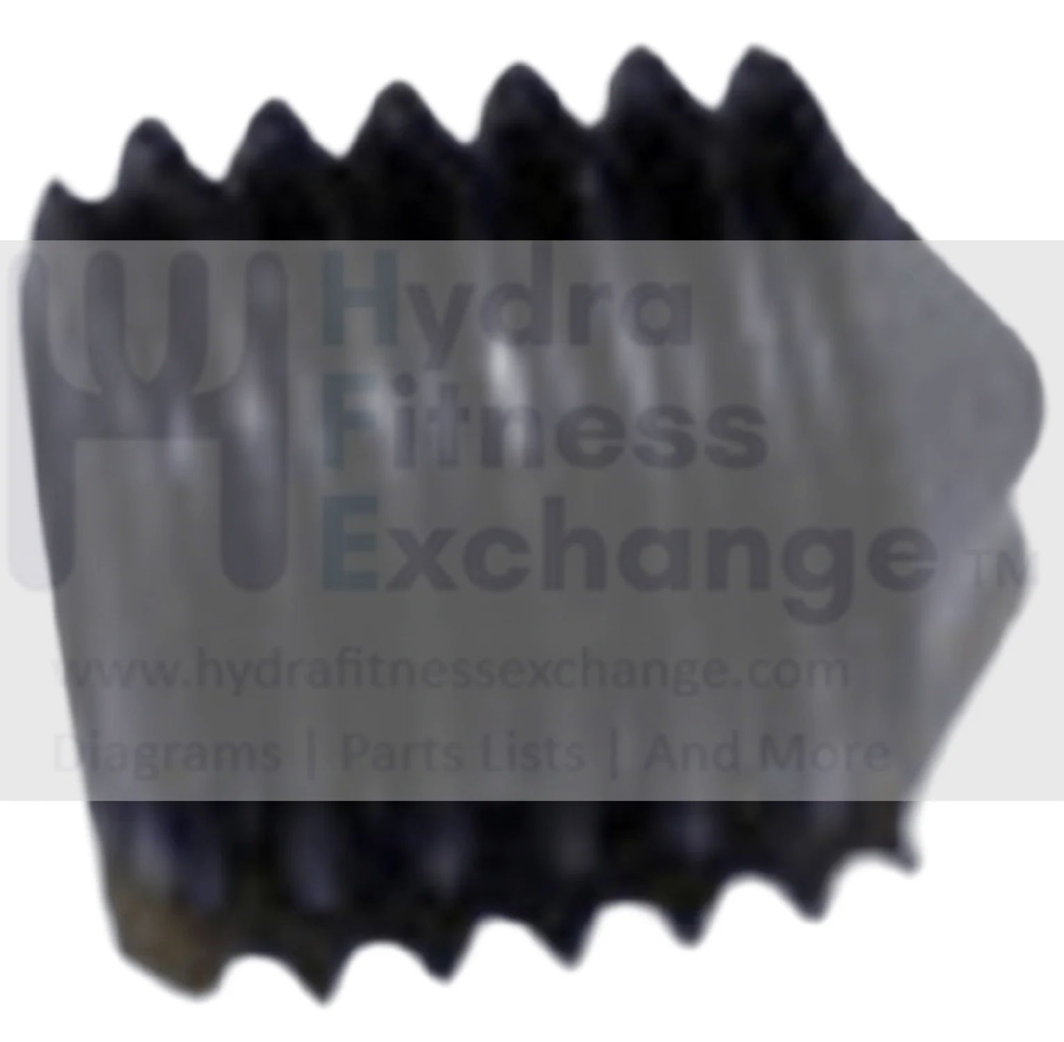Horizon Fitness EX59-04 Endurance 300 Elliptical Screw Set M10x1.5Px12L 004847-AB
