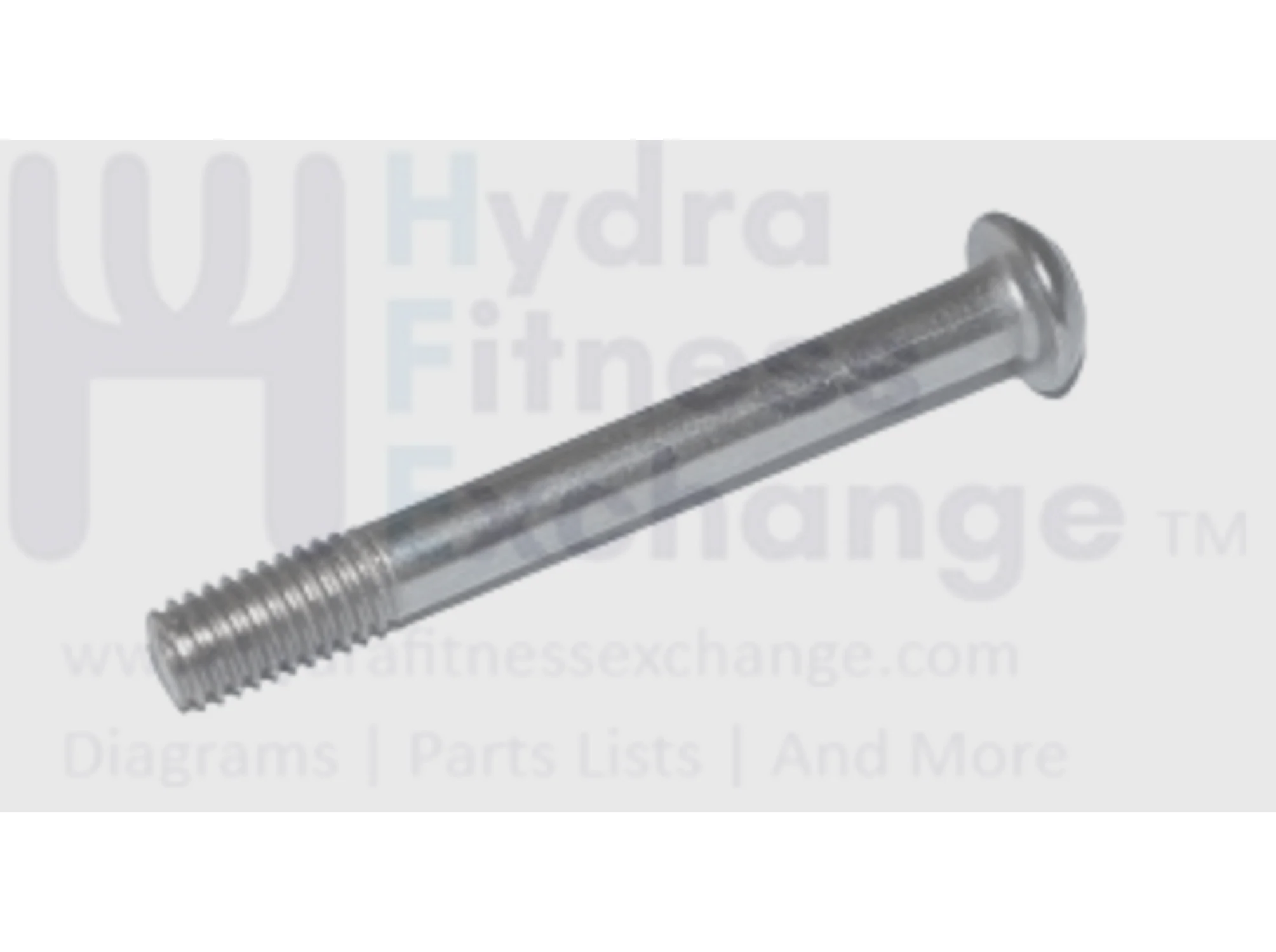 Horizon Fitness EX59-04 - EP295 Elliptical Screw M6 - 1.0P x 50L 020314-A