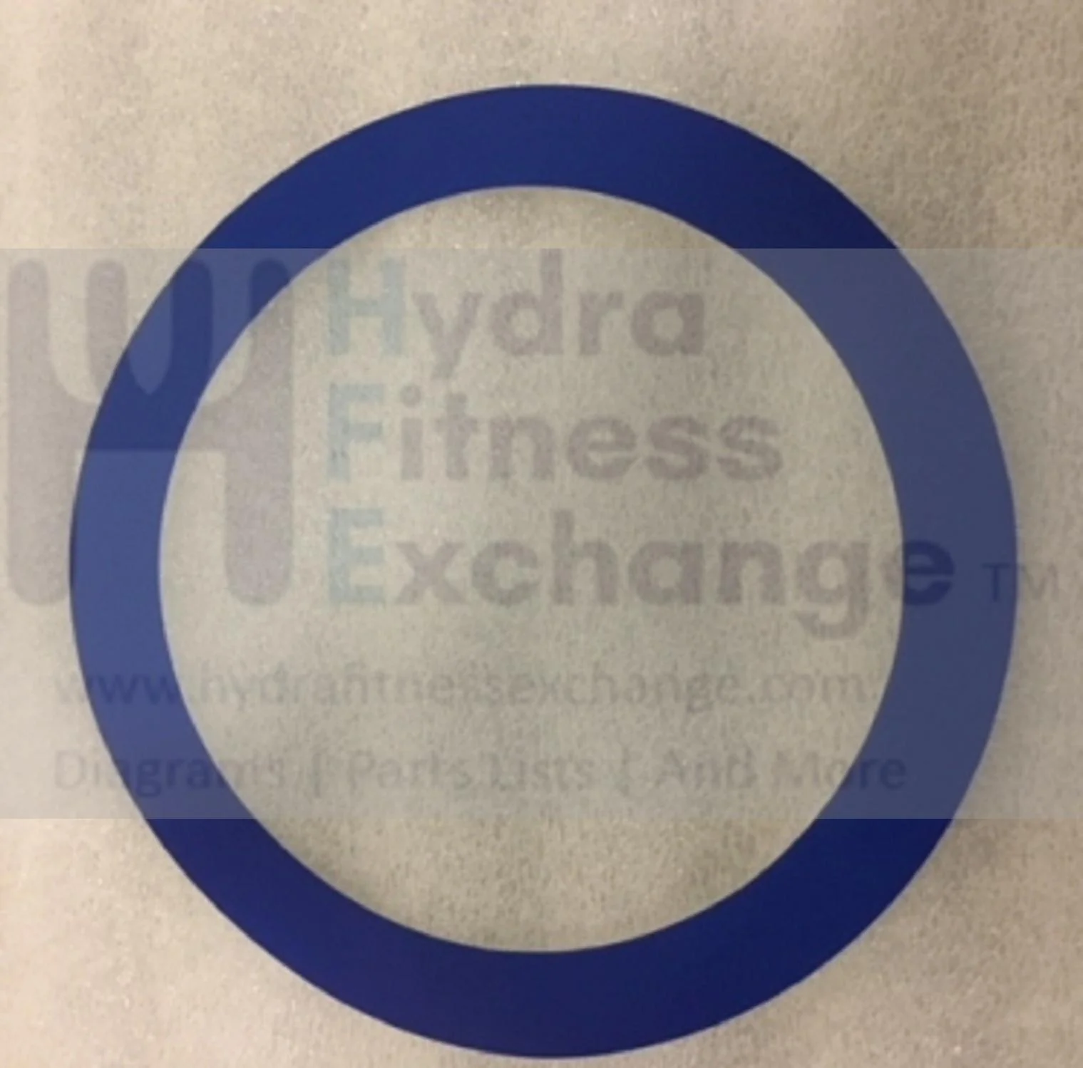 Horizon Fitness EX59-3 - EP716 EX59-3 - EP716 - EP283 Elliptical Side Cover Decorated Label 1000419669 - Image 2