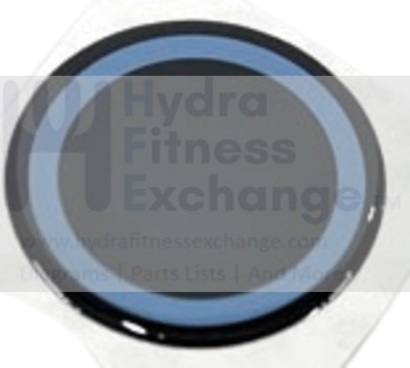 Horizon Fitness EX68 - EP514 Elliptical Crank Small Cover Round Decal 1000102993