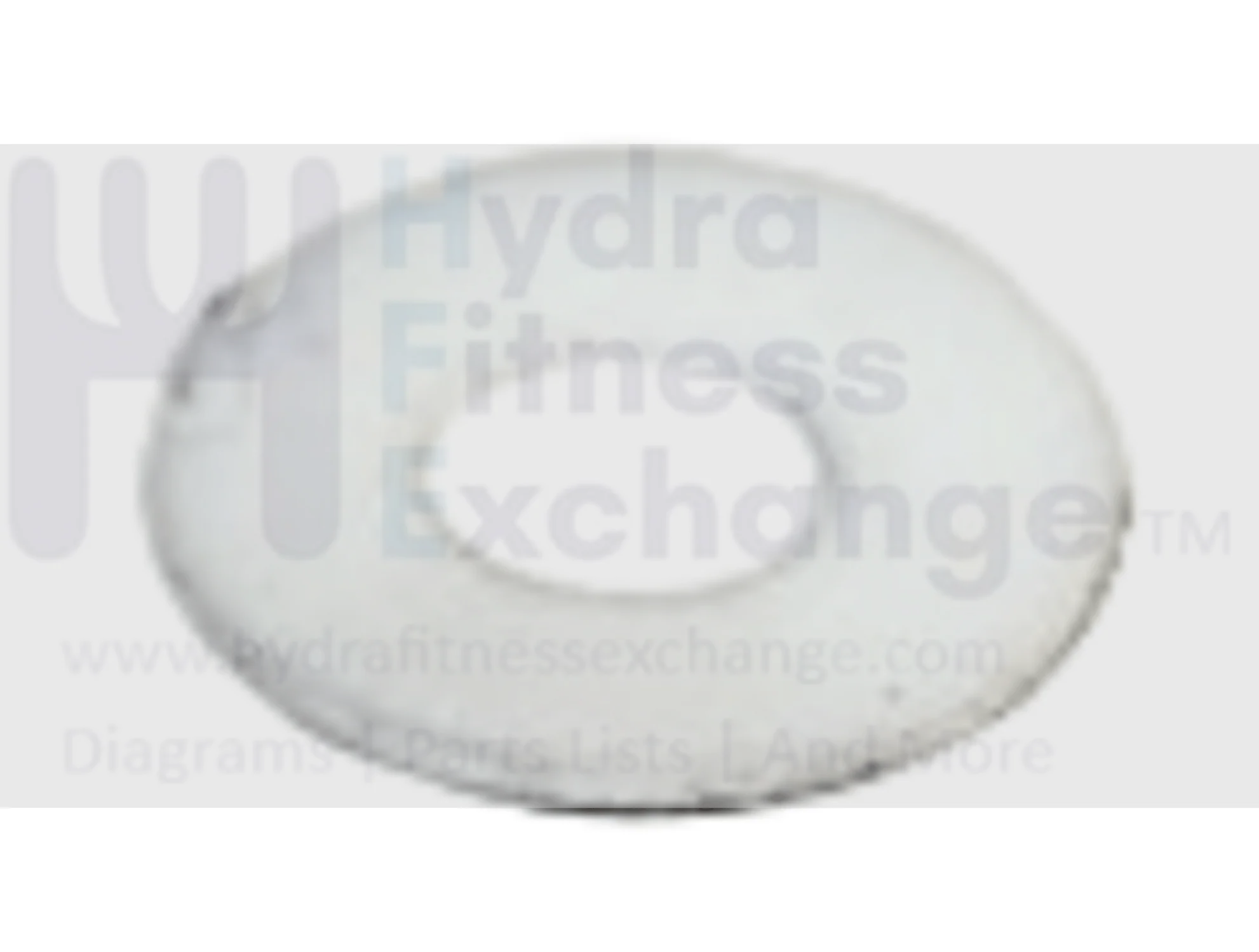 Horizon Fitness Treadmill Teflon Flat Washer 8.1 x 20 x 1.0t 049292-A