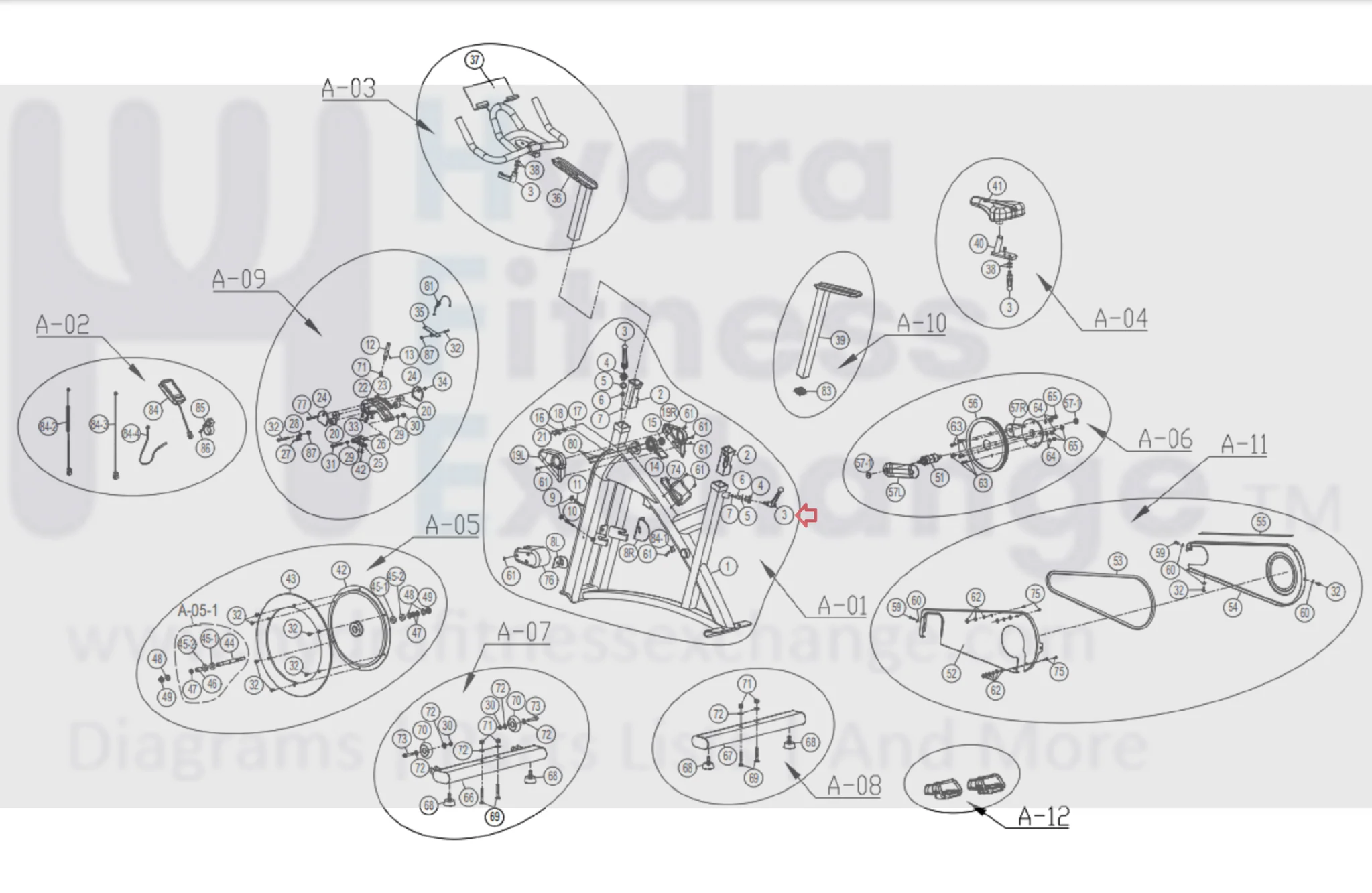 Horizon Fitness IC7.9 - FC062 Stationary Bike Quick Release 1000442972 - Image 2