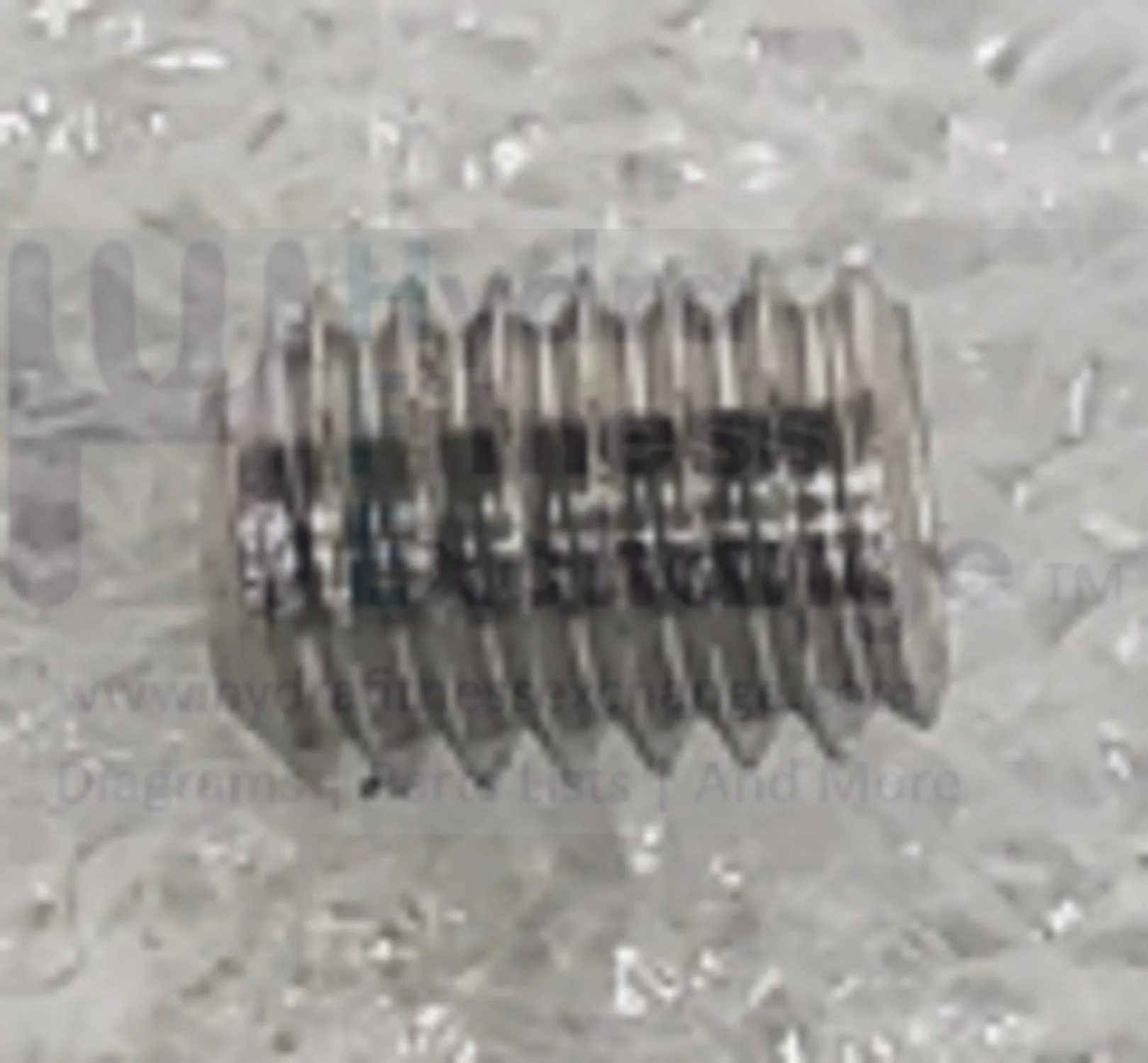 Horizon Fitness IC7.9 - FC062 Stationary Bike Screw 1000442970