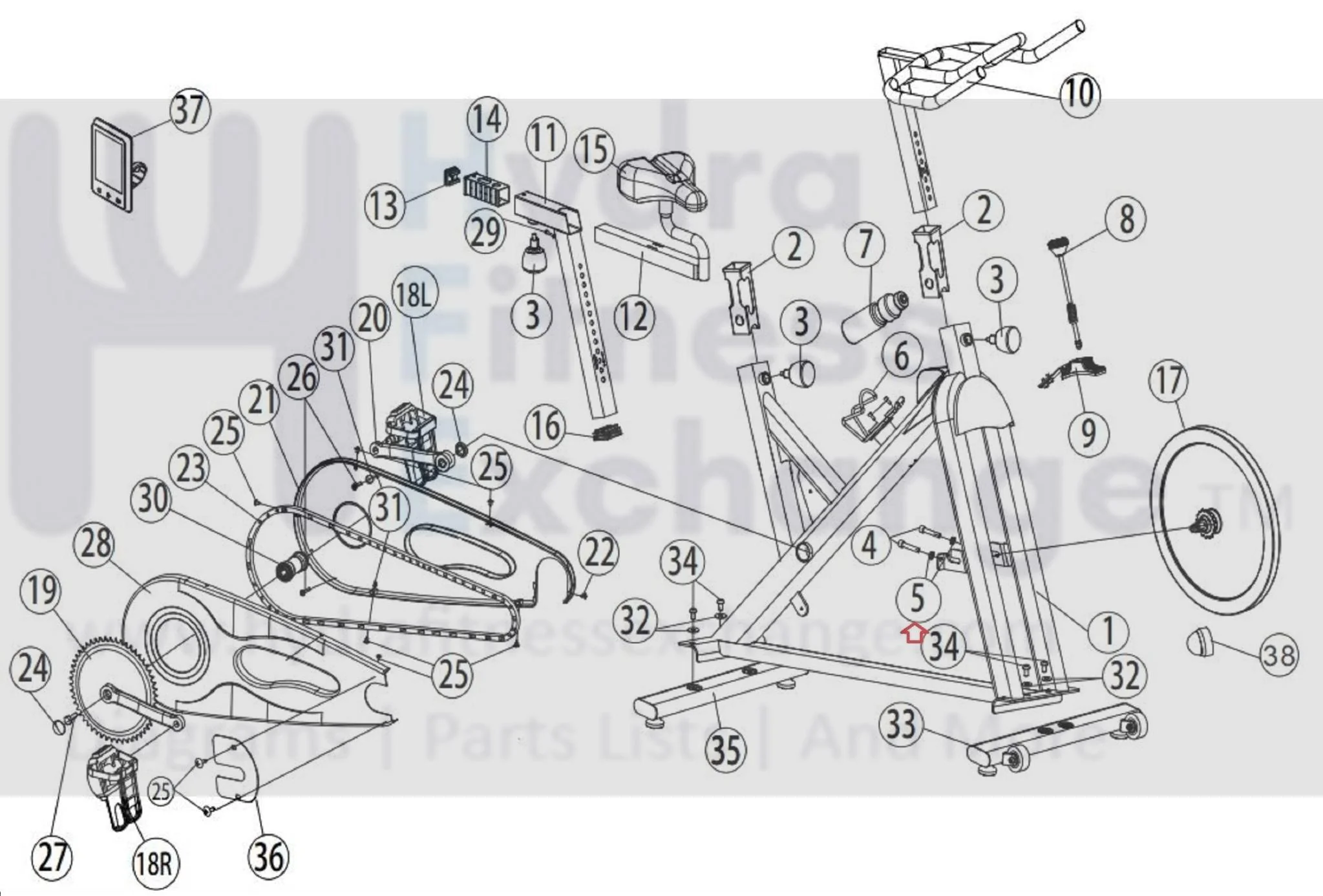 Horizon Fitness FC060 Stationary Bike Allen Nut 1000204240 - Image 2