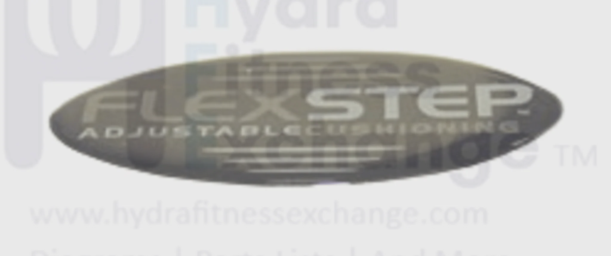 Horizon Fitness GS1040T Treadmill Decal Sticker for Elastomer 097948