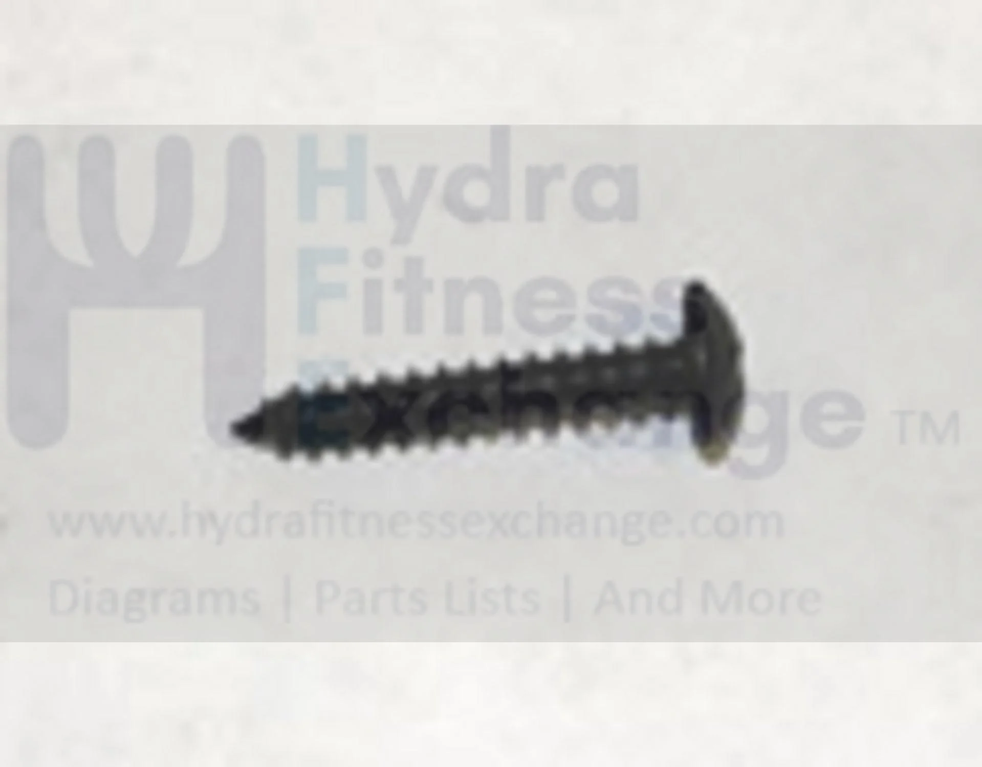 Horizon Fitness GS950T CT5.1 T101 Treadmill Tapped Screw 4 x 25L 1000097476 - Image 2