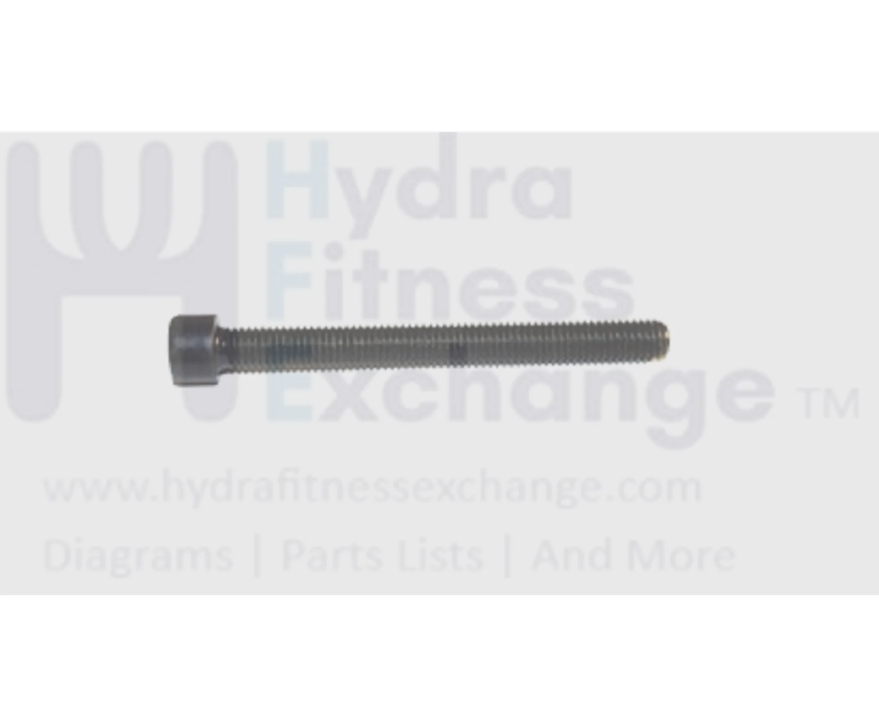 Horizon Fitness GS950T T203 Treadmill Hex Socket Screw M8X1.25PX80L 1000097465