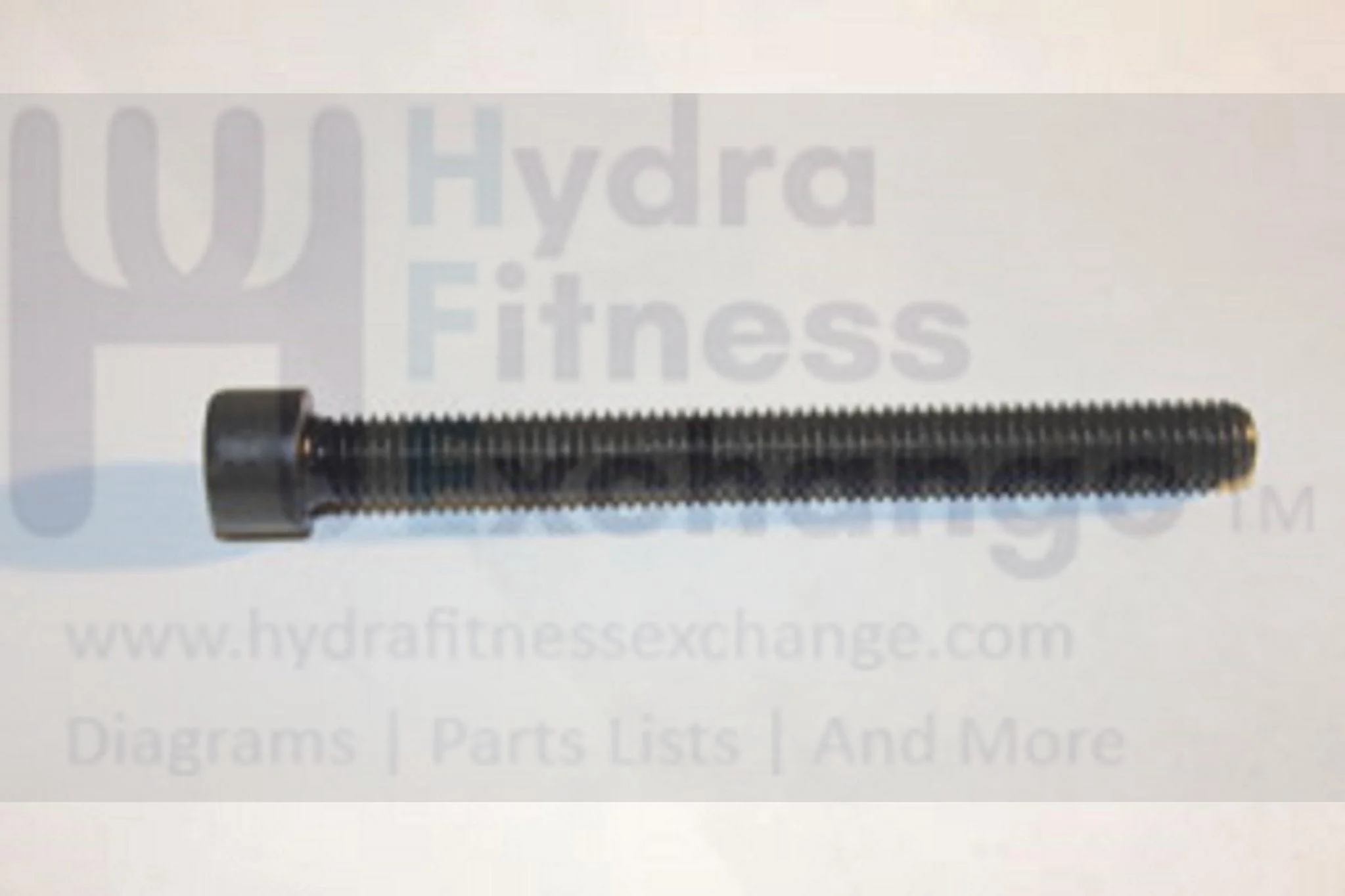 Horizon Fitness GS950T T203 Treadmill Hex Socket Screw M8X1.25PX80L 1000097465 - Image 2